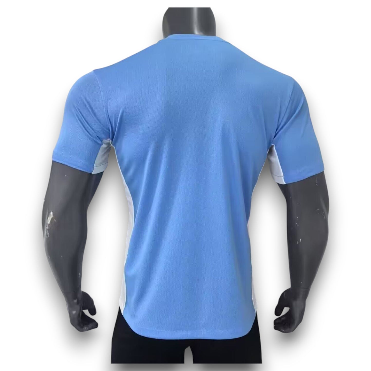 Camiseta Uruguay 2025-2026 Local - Version Pro Player