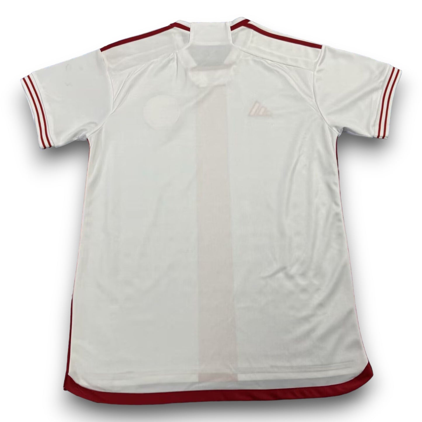 Camiseta Internacional 2024-2025 Visitante
