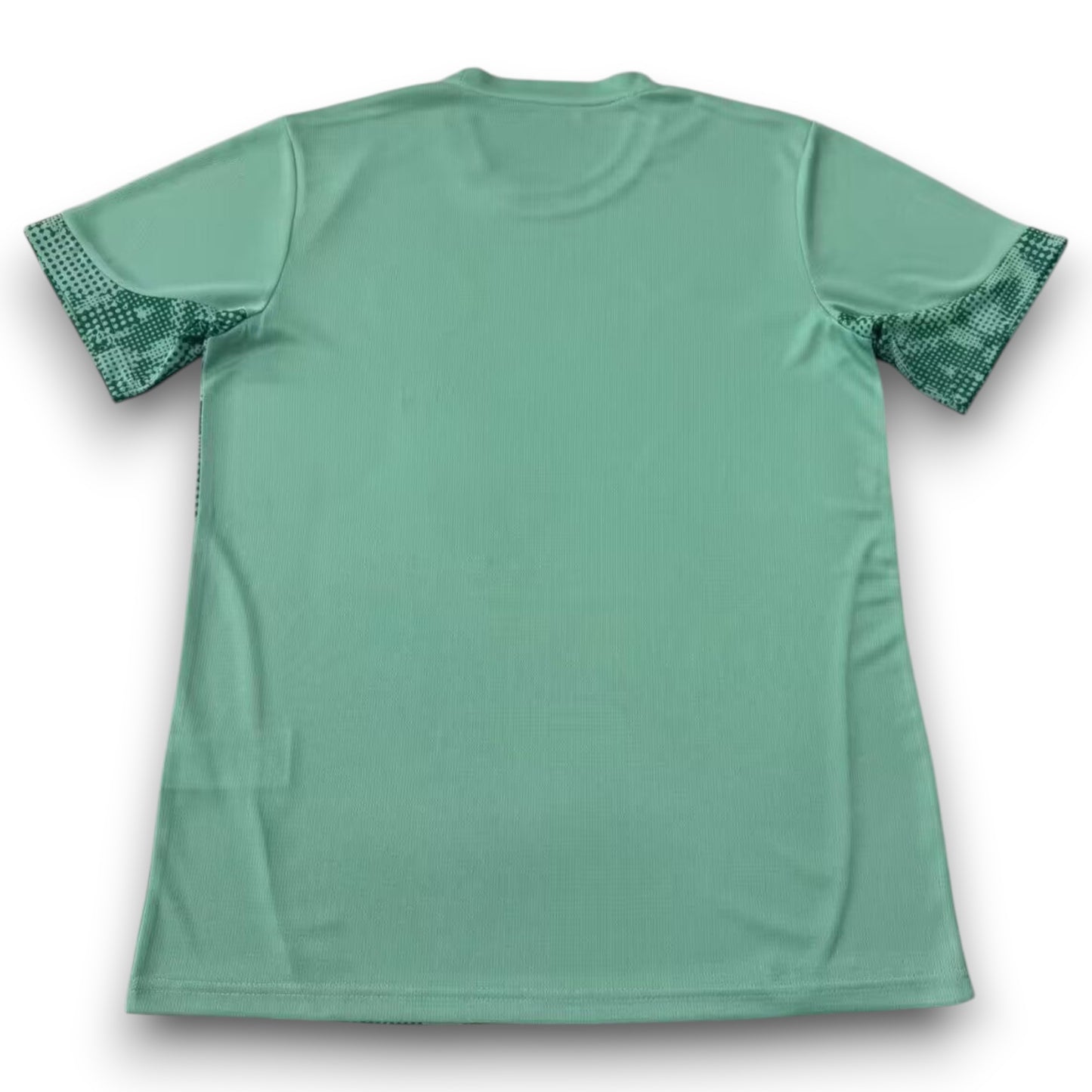 Camiseta Palmeiras 2026-2027 Entrenamiento