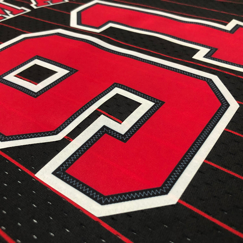 Camiseta Chicago Bulls Dennis Rodman - Mitchell & Ness- Stripe