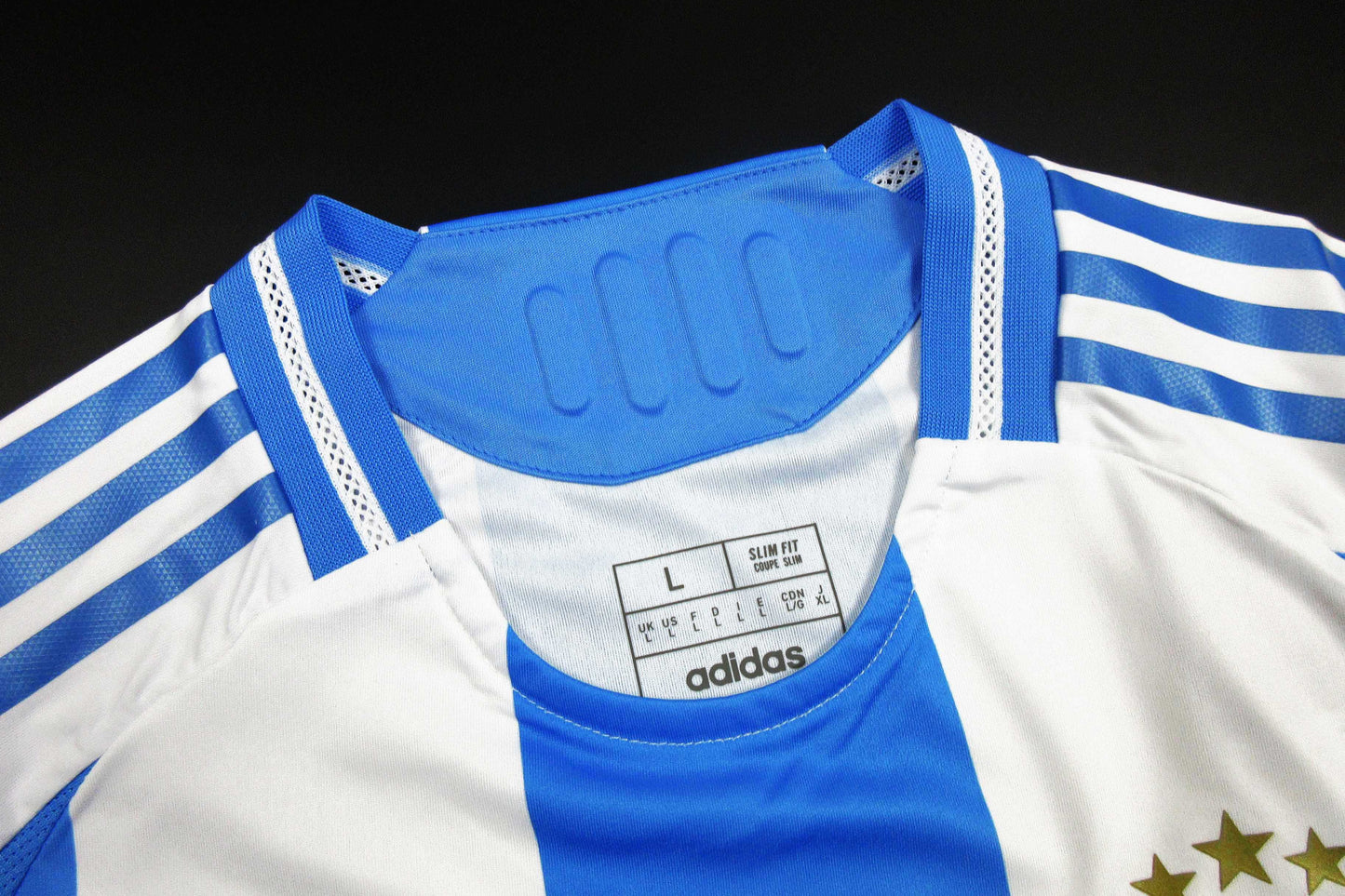 Camiseta Argentina 2024-2025 Local - Version Pro Player