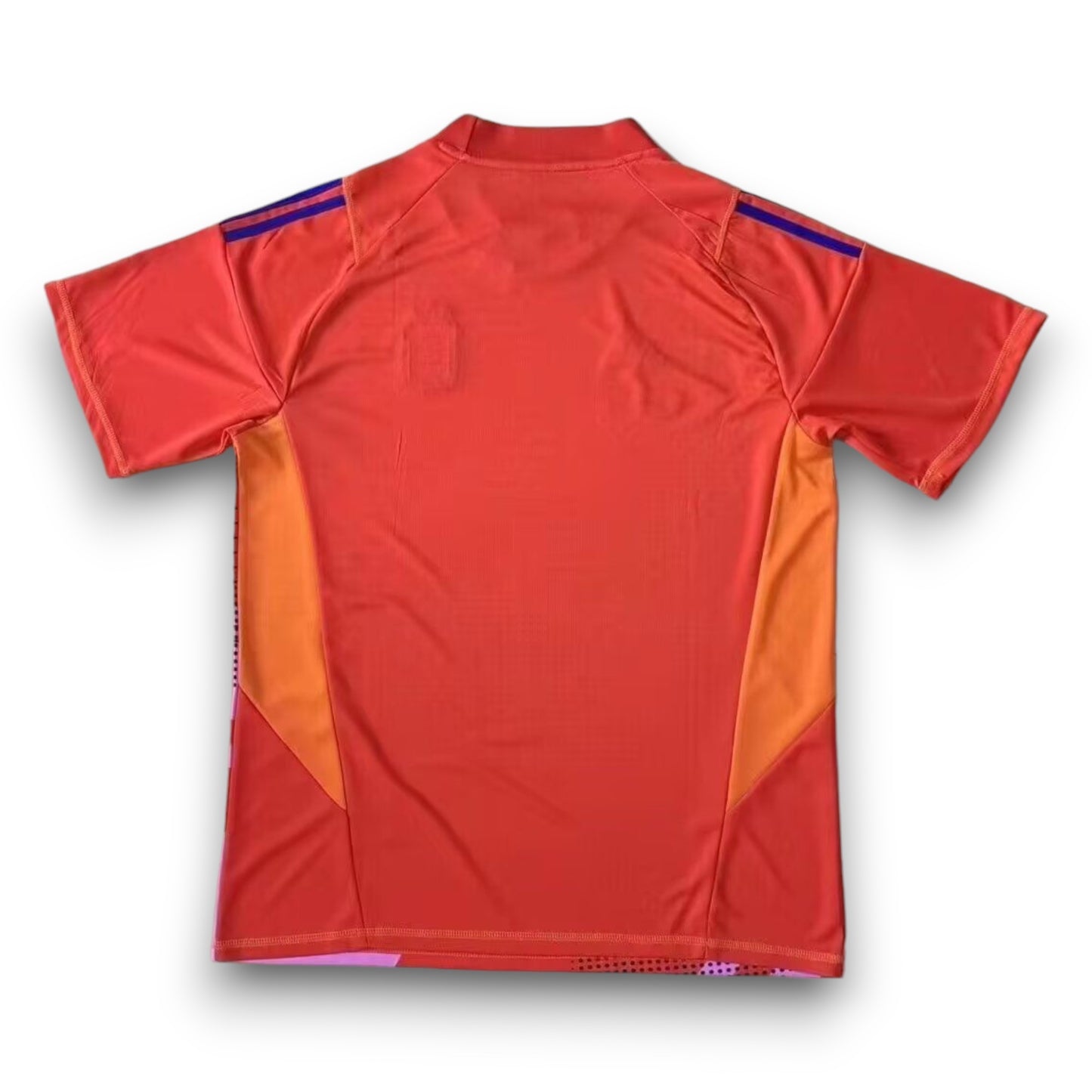 Camiseta Argentina 2024-2025 Alternativa 2 Portero