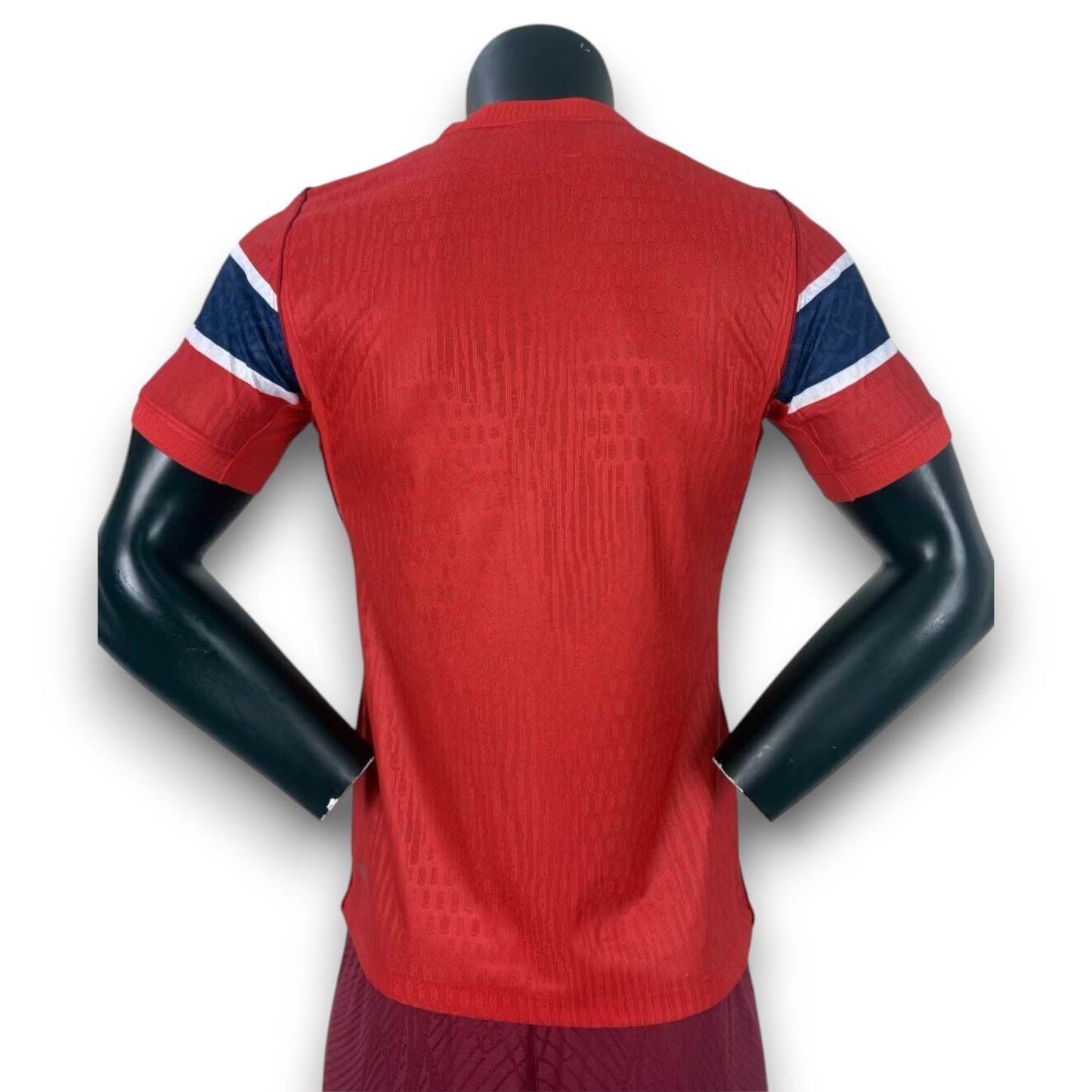 Camiseta Noruega 2026 Local - Version Pro Player