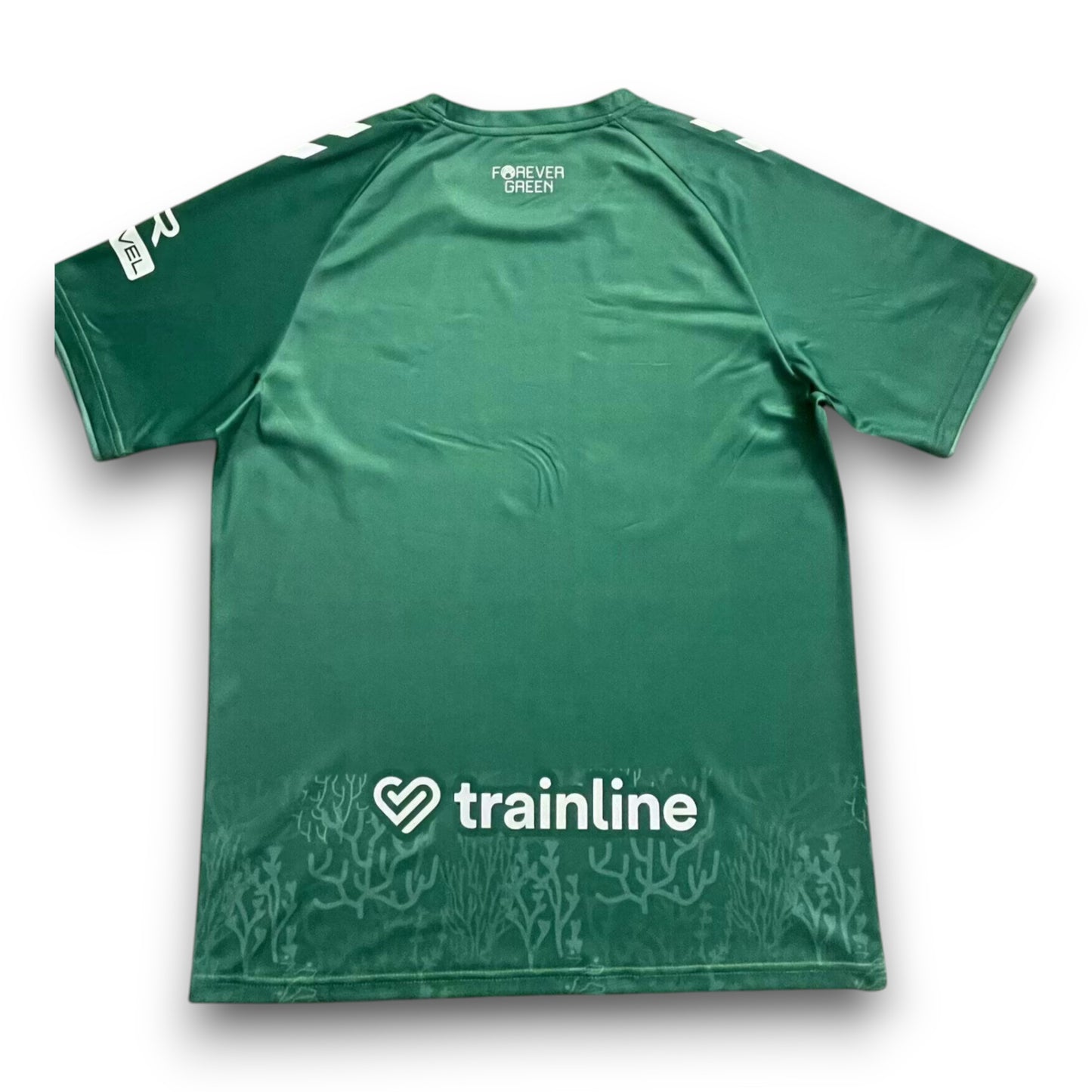 Camiseta Real Betis 2024-2025 Cuarta