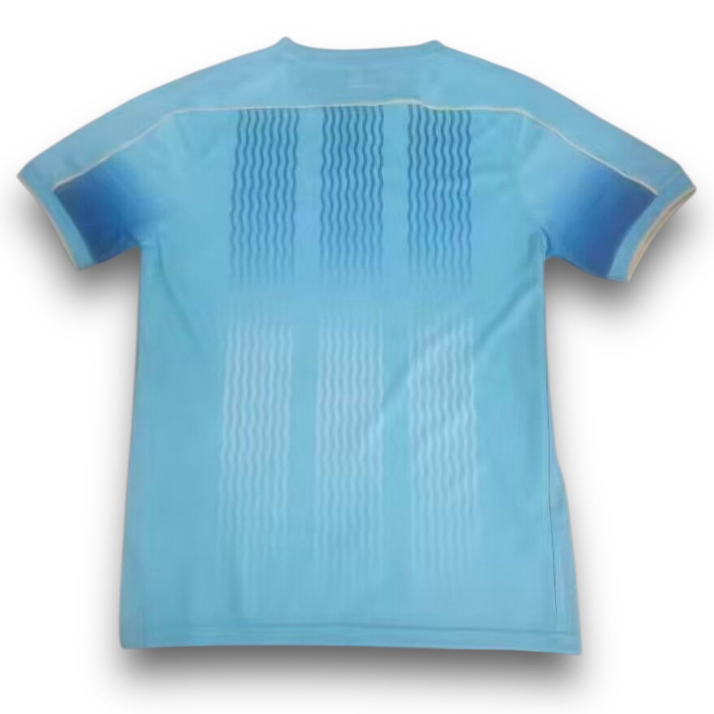 Camiseta Venezia 2024-2025 Alternativa