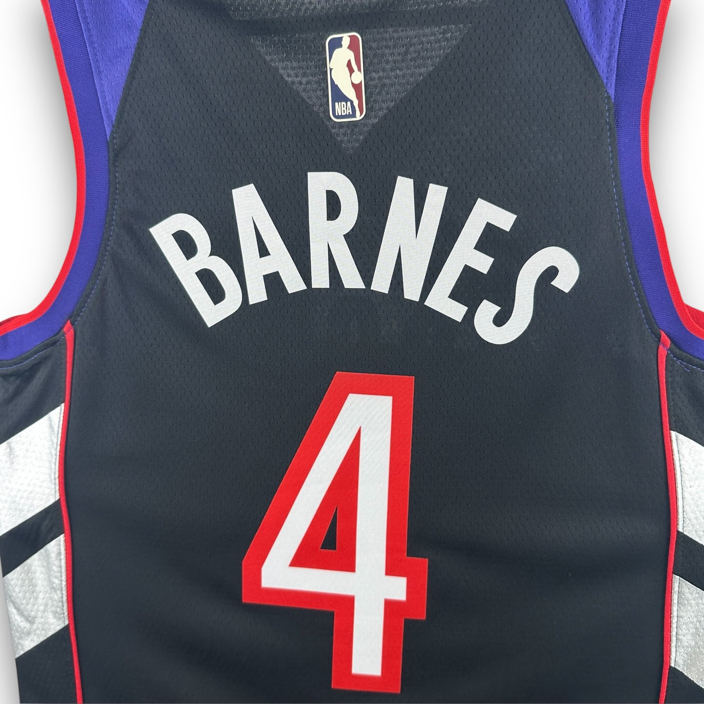 Camiseta Toronto Raptors 2024-2025 - Classic Edition