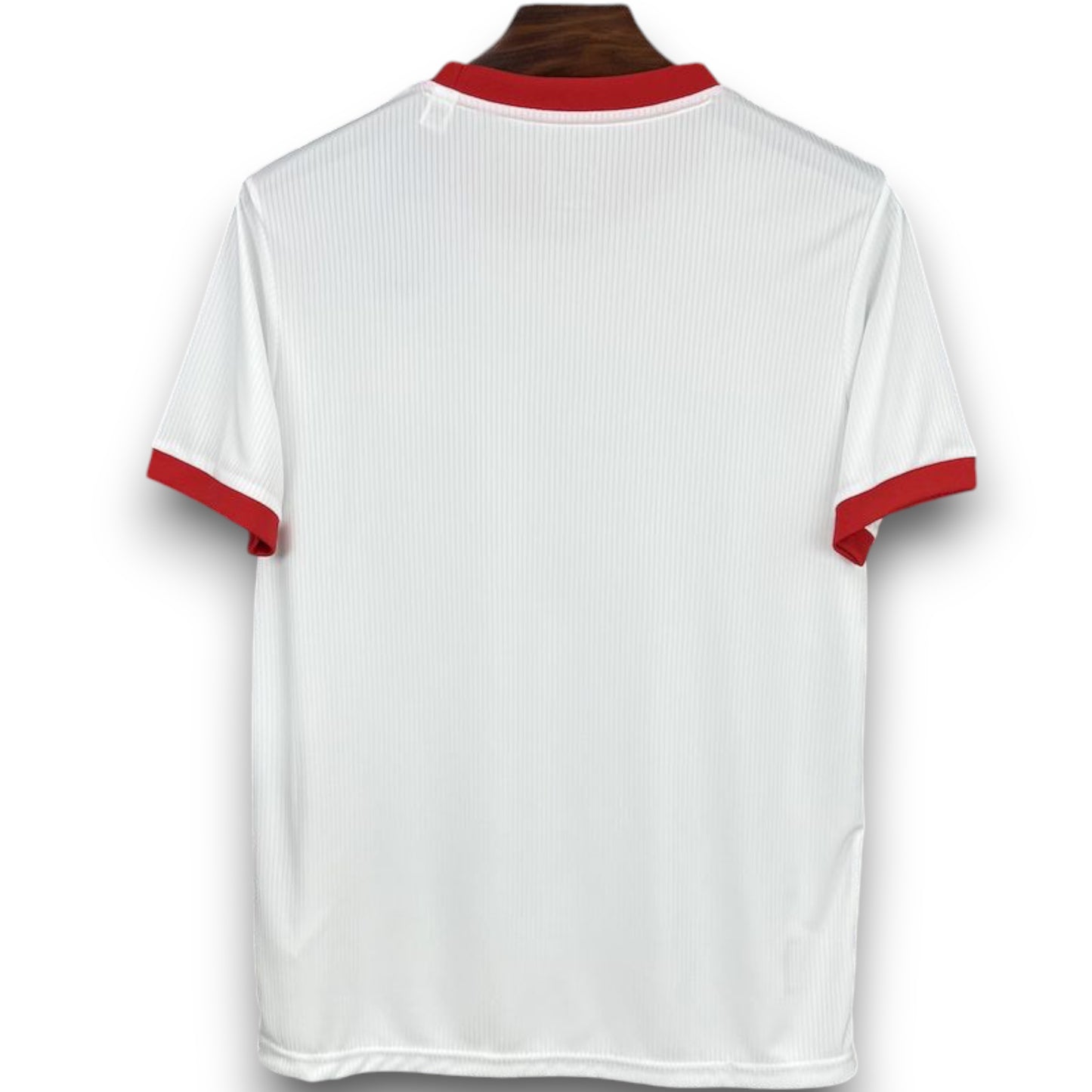 Camiseta Benfica 2025-2026 Alternativa Aniversario