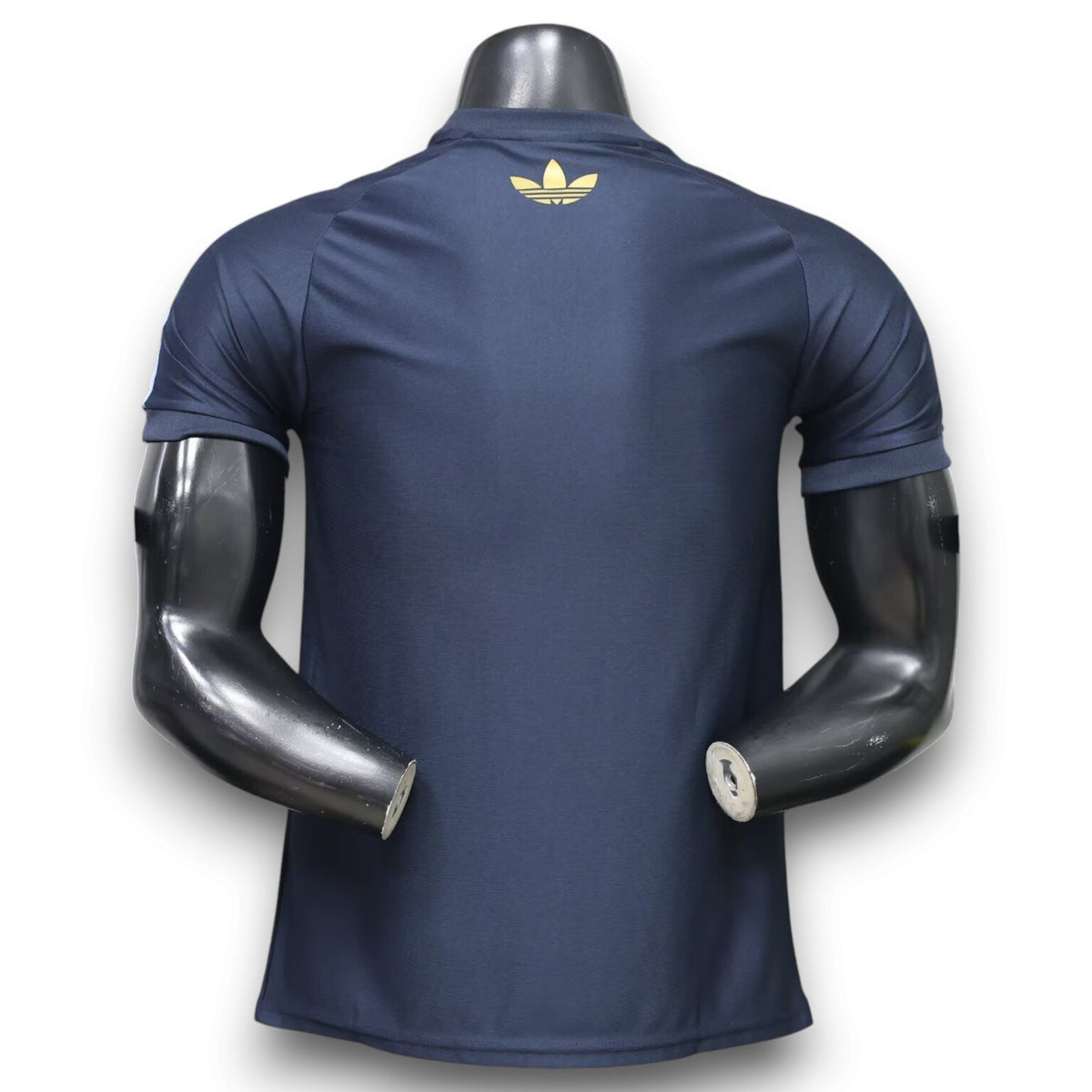Camiseta Argentina Edición Especial Messi Entrenamiento - Version Pro Player