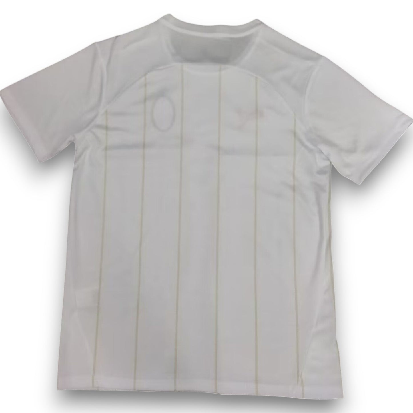 Camiseta Milán 125th Aniversario Pre-Partido