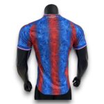 Camiseta Crystal Palace 2024-2025 Local - Version Pro Player