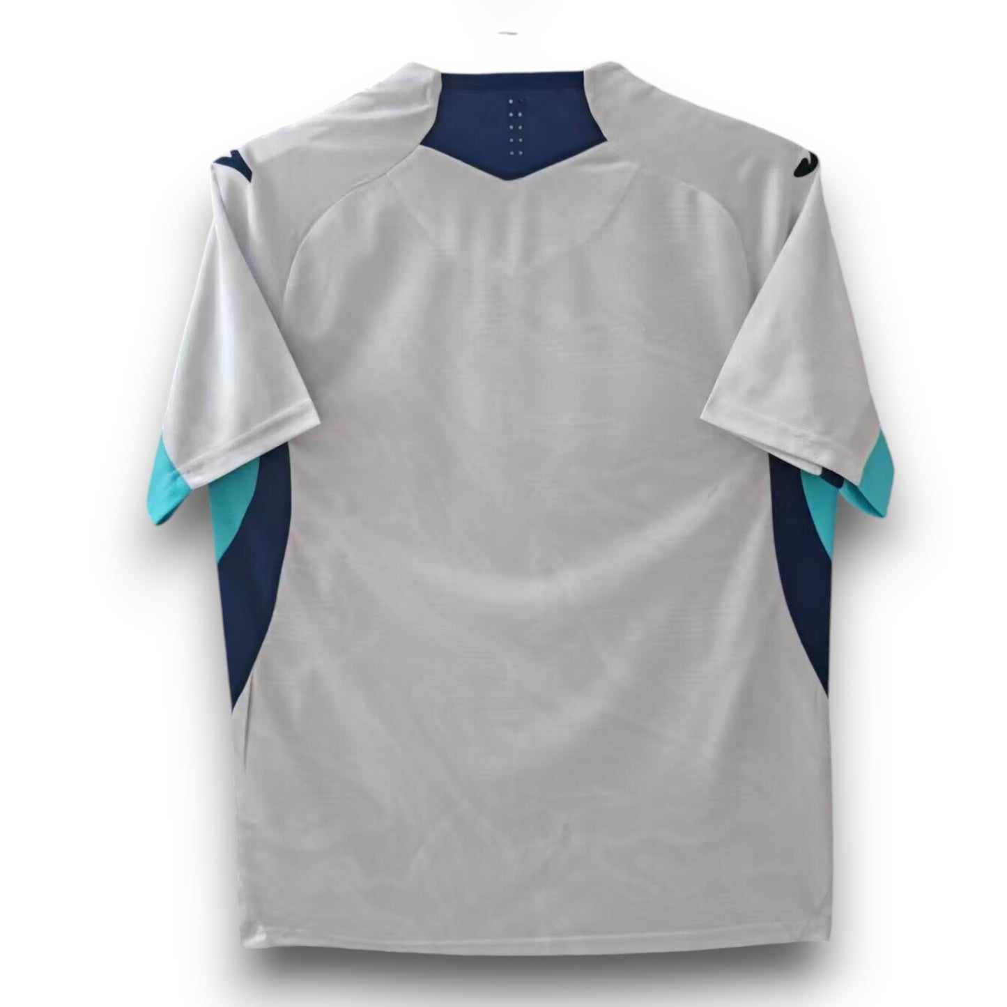 Camiseta Hoffenheim 2025-2026 Alternativa