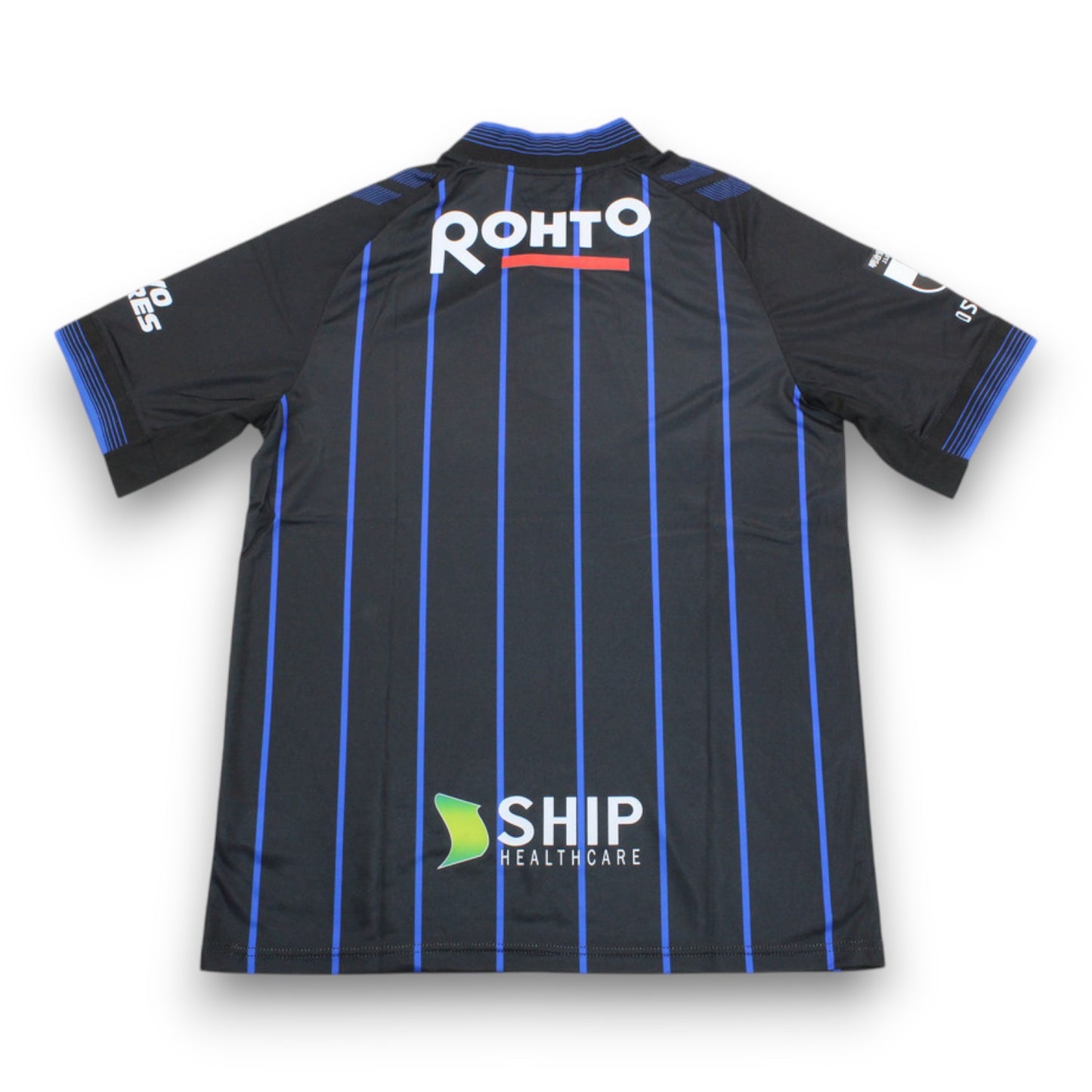 Camiseta Gamba Osaka 2024-2025 Local