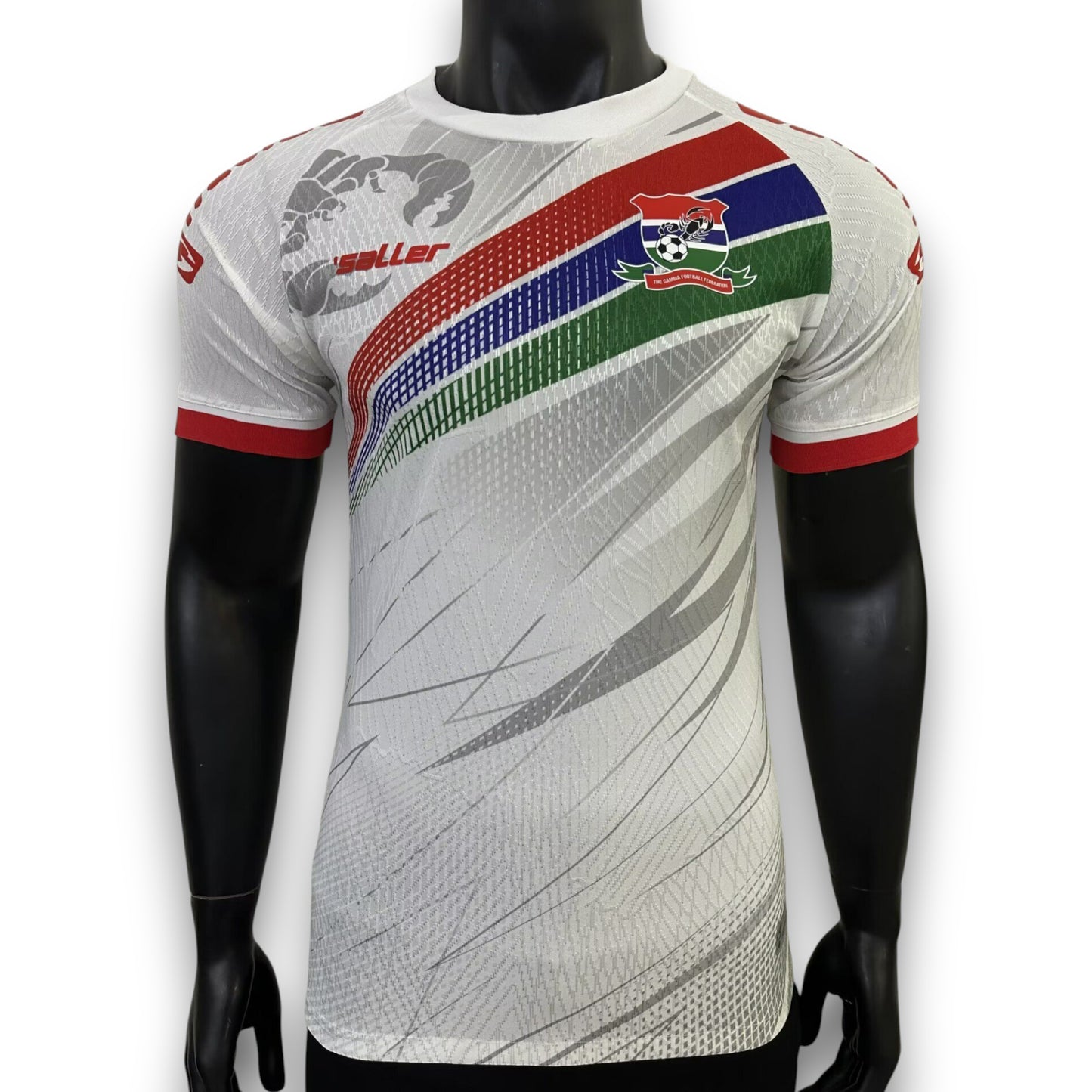 Camiseta Gambia 2025-2026 Local Version Pro Player