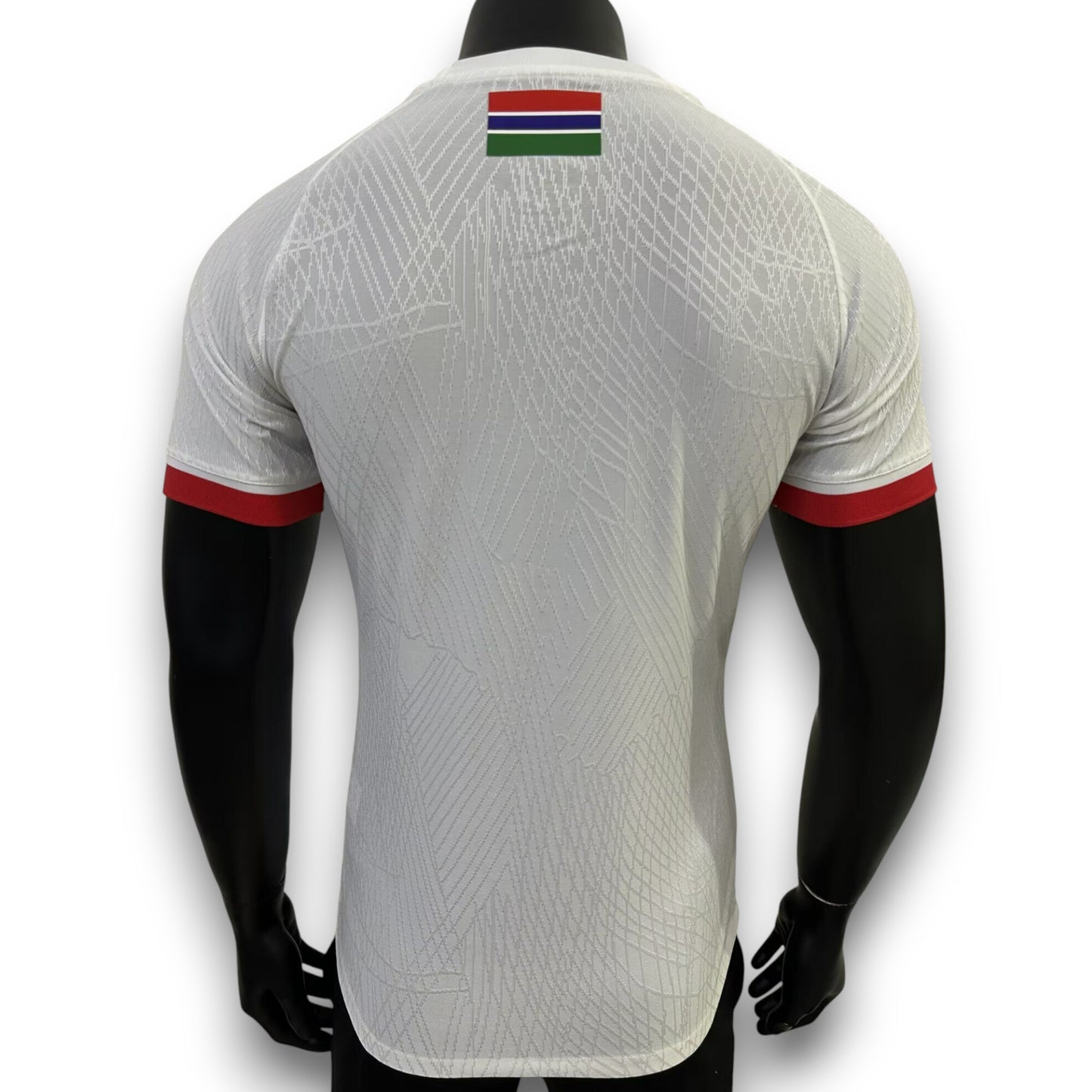 Camiseta Gambia 2025-2026 Local Version Pro Player