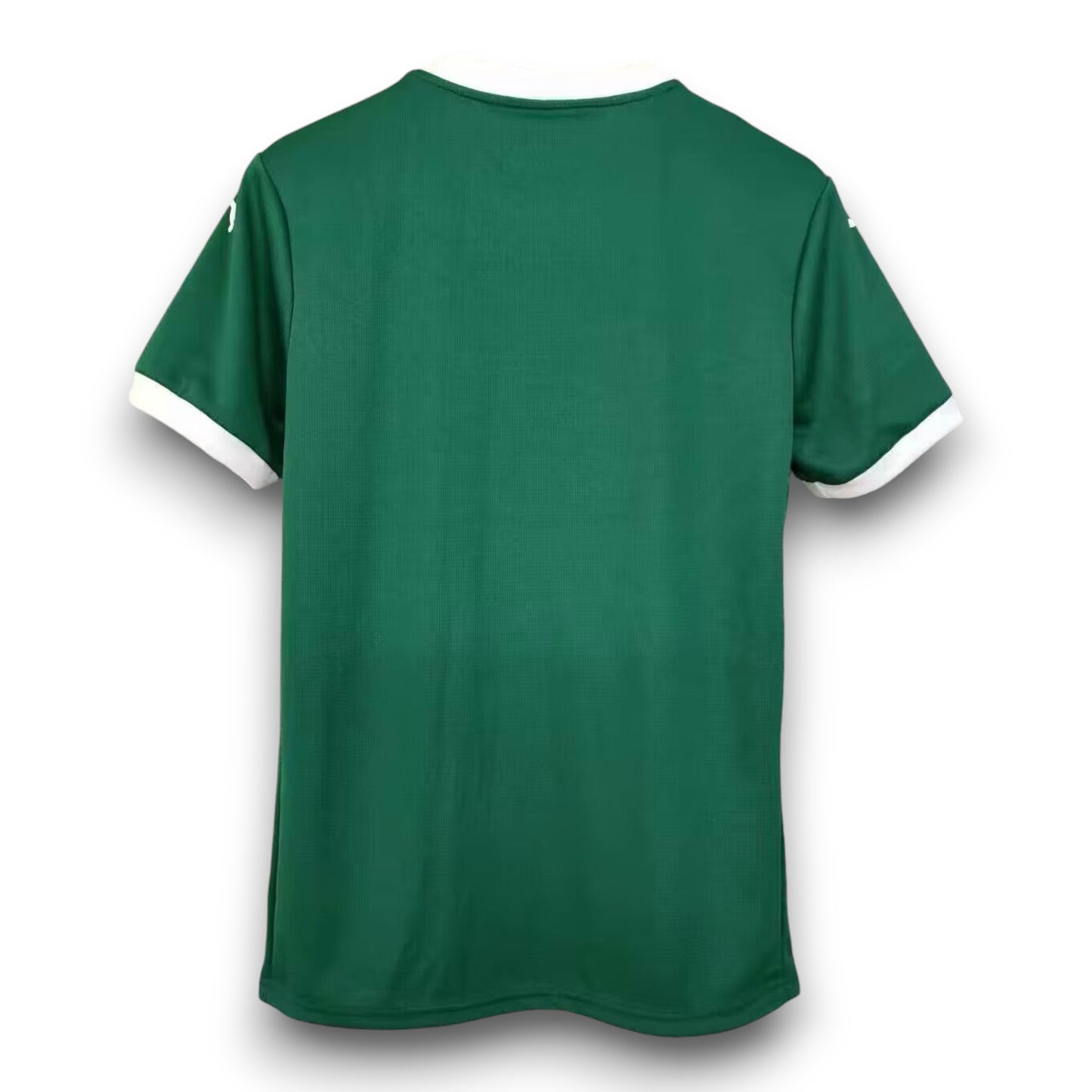 Camiseta Palmeiras 2025 Local