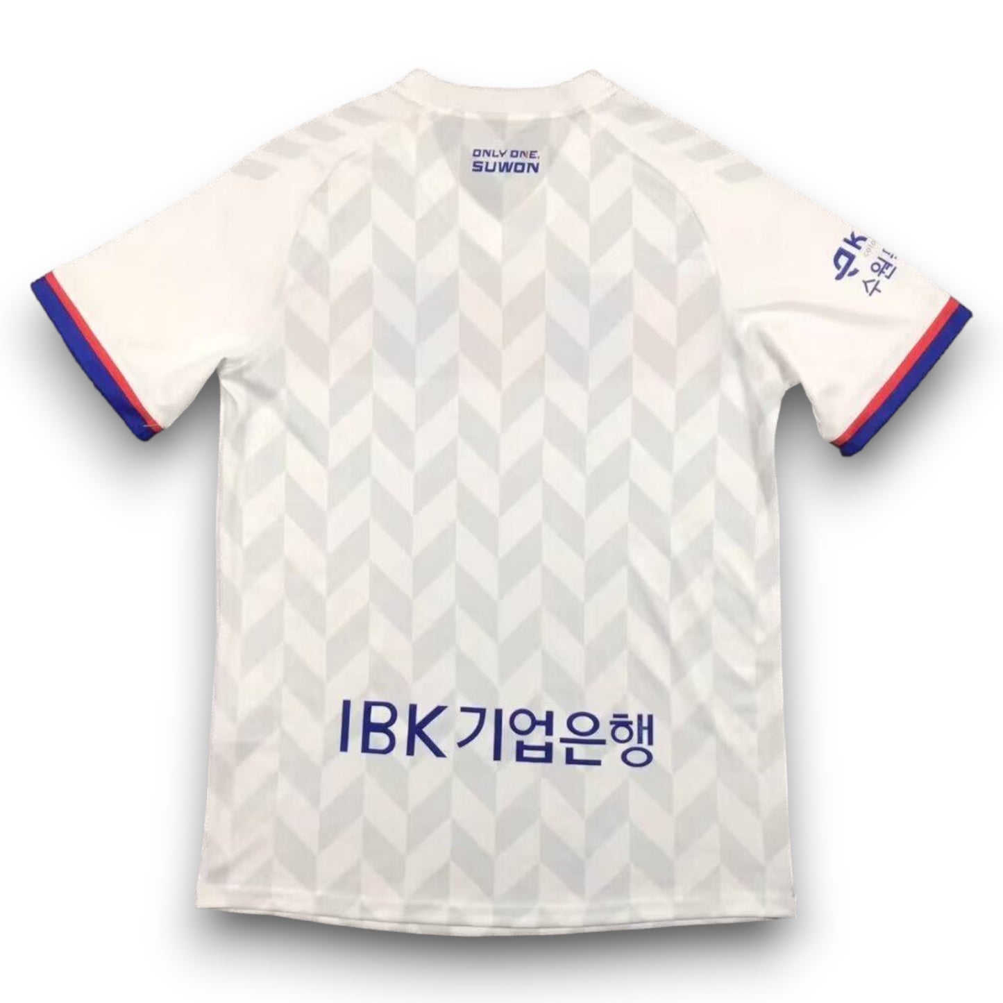 Camiseta Suwon Fc 2024-2025 Visitante