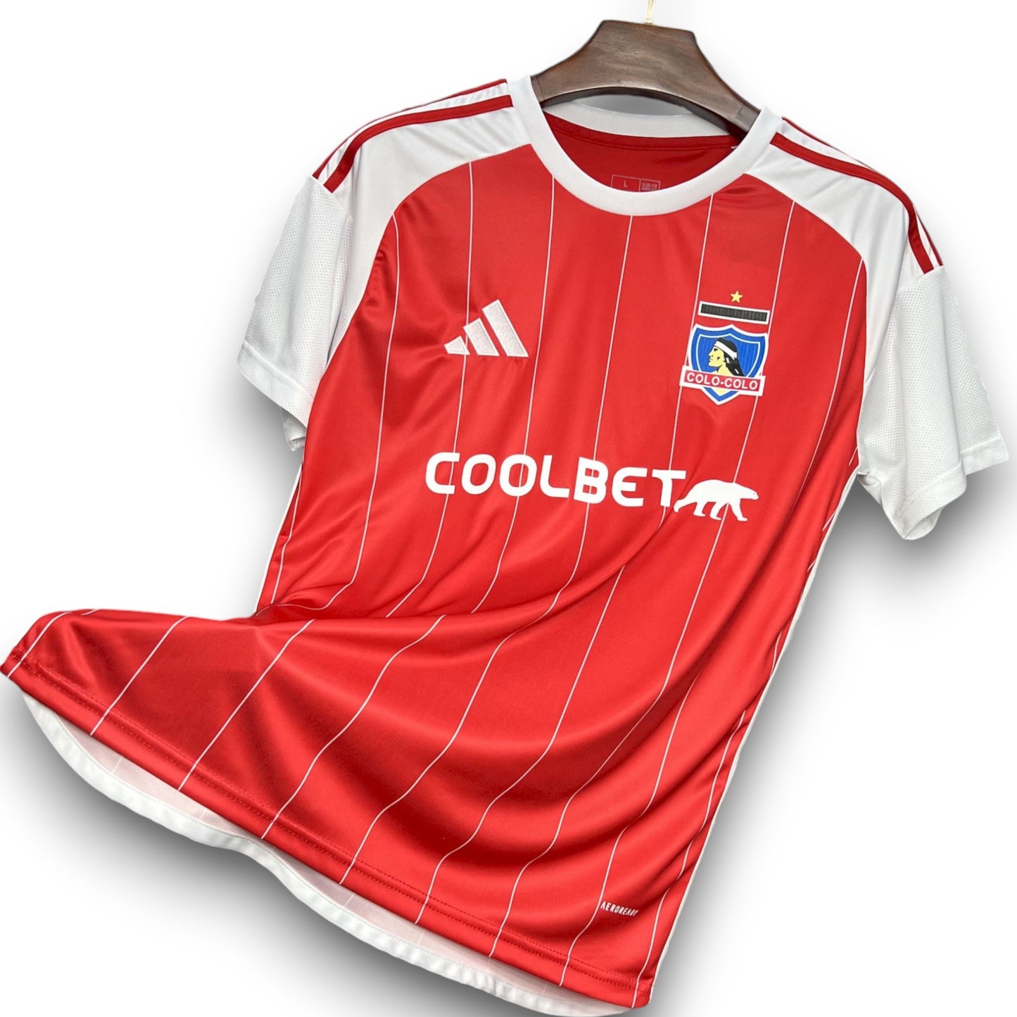 Camiseta Colo Colo 2024-2025 Alternativa - Primera División de Chile