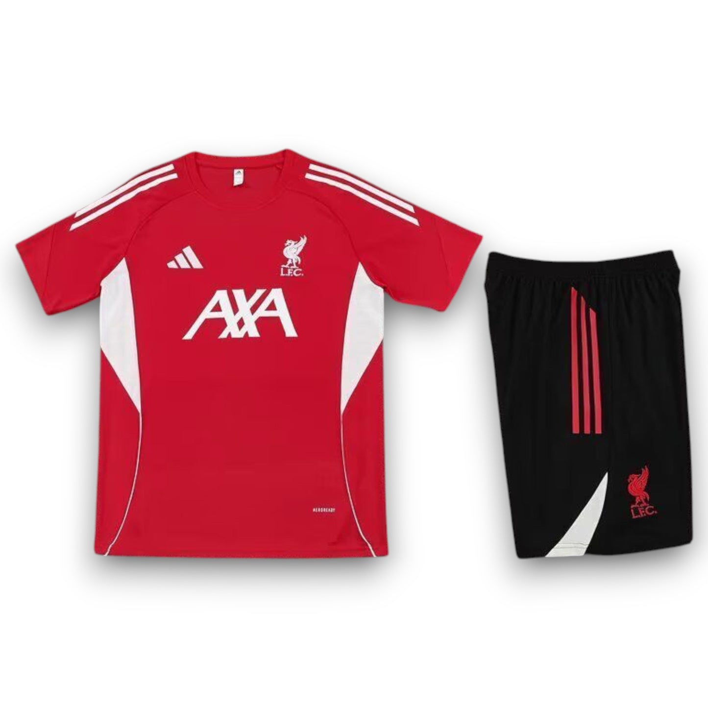 Conjunto LVP 2025-2026 Local - Entrenamiento