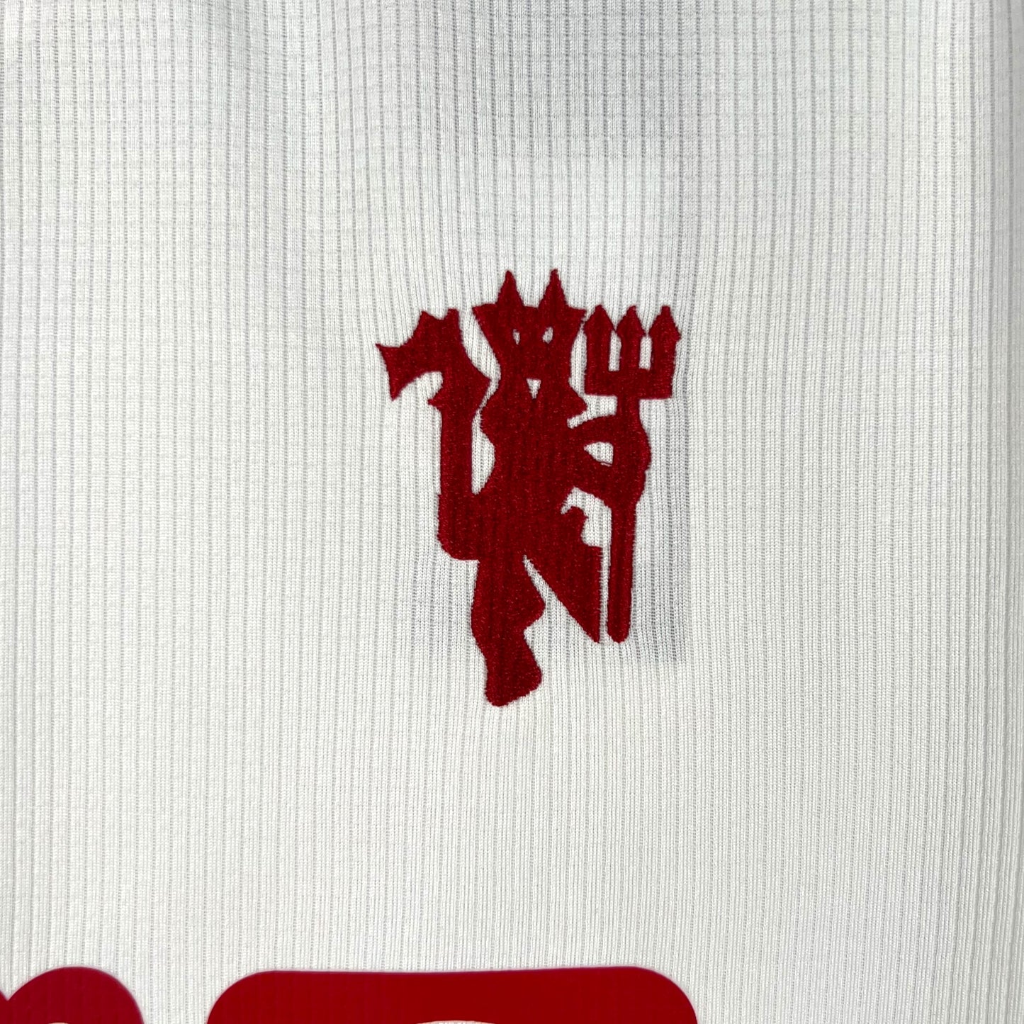 Camiseta Manchester United 2023-2024 Alternativa