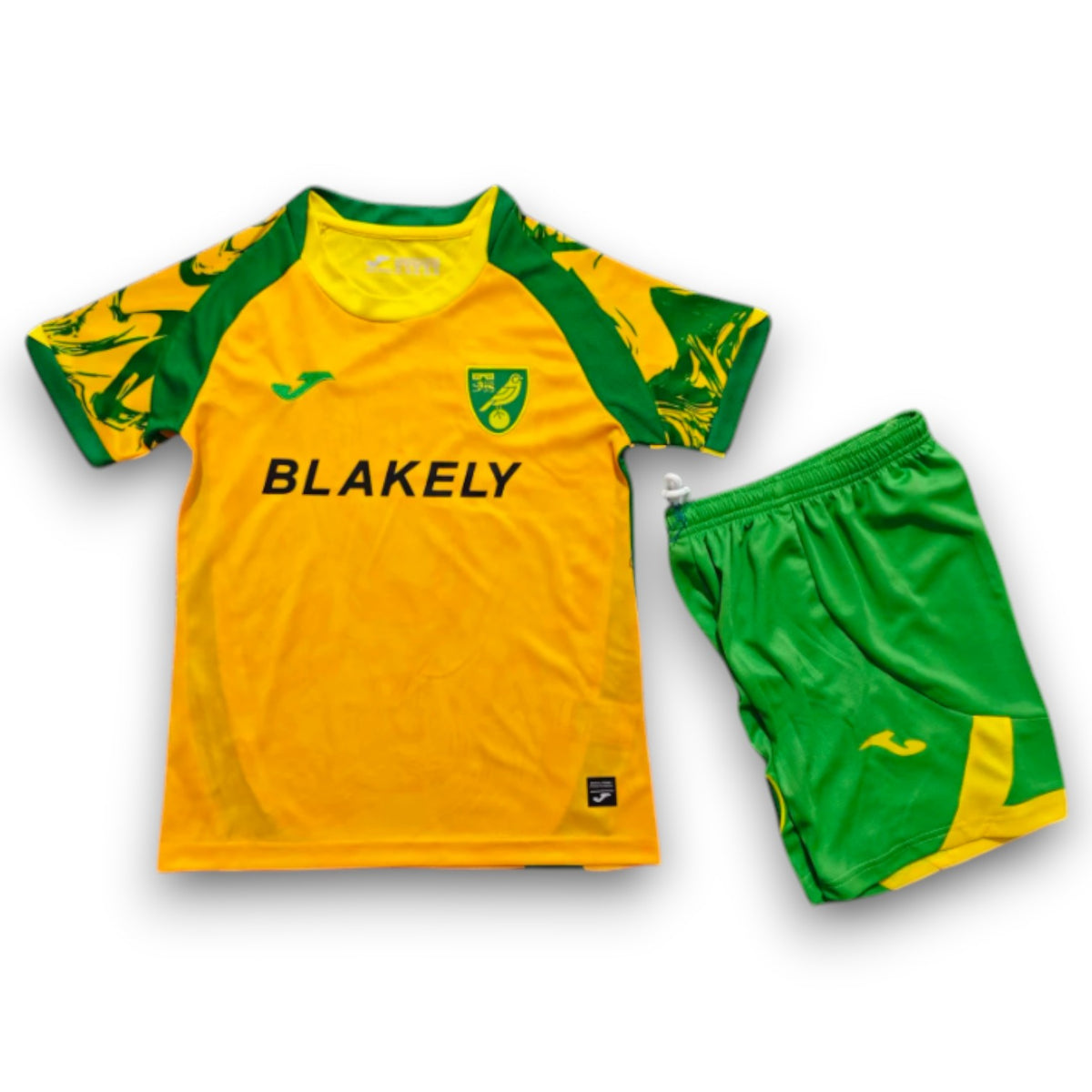 Camiseta Norwich City 2026-2027 Local