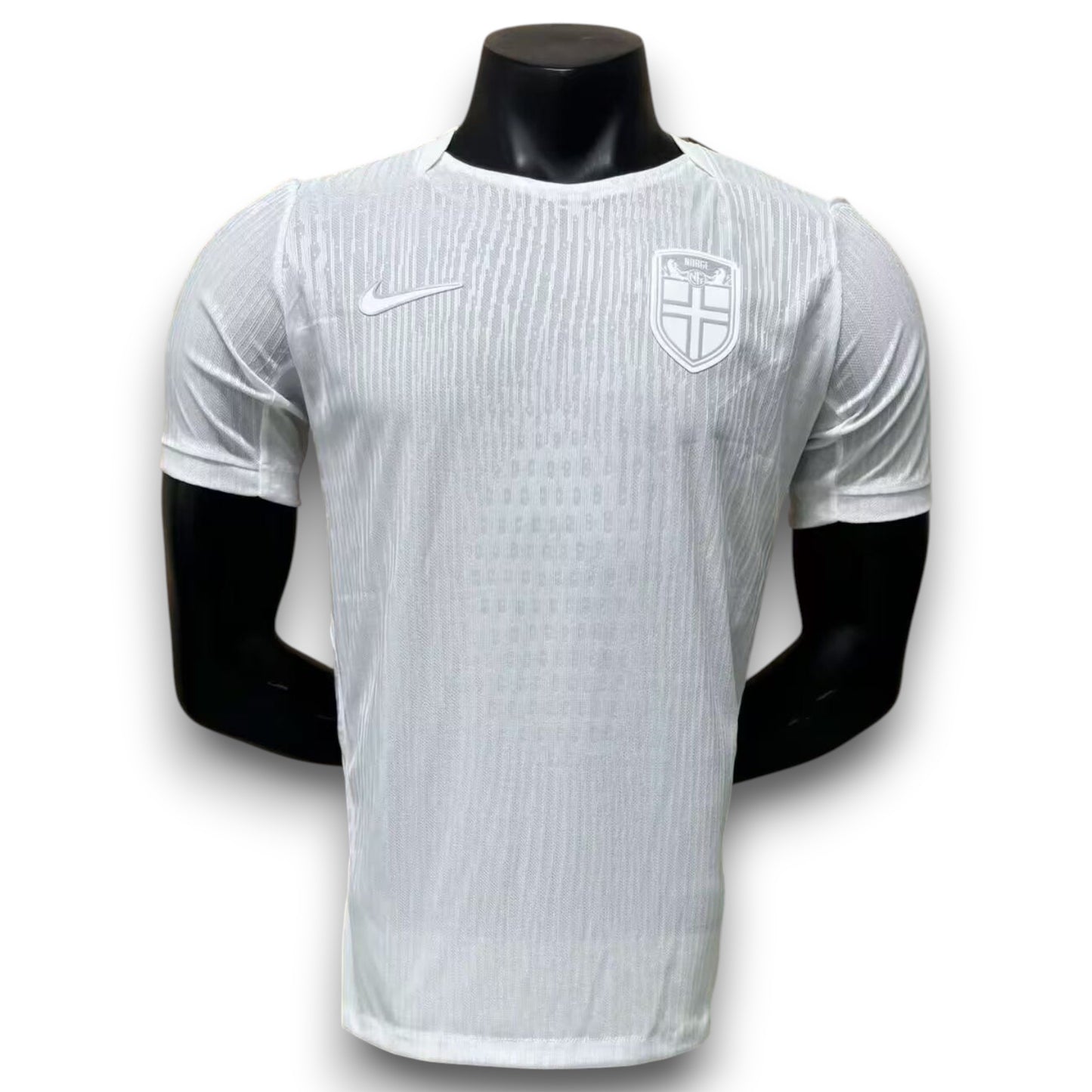 Camiseta Noruega 2026 Alternativa - Version Pro Player