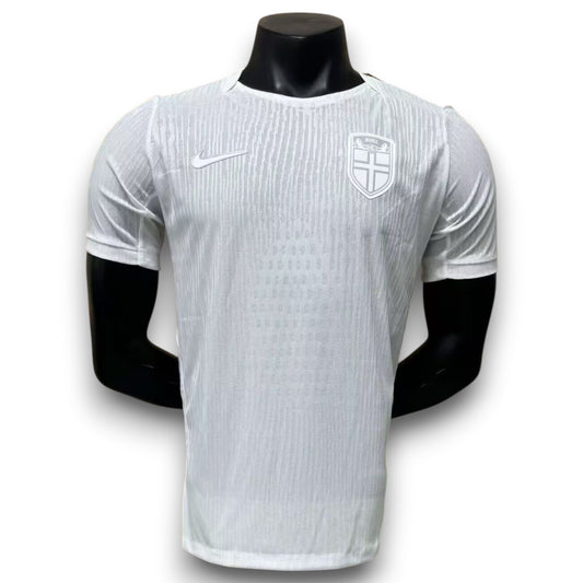 Camiseta Noruega 2026 Alternativa - Version Pro Player