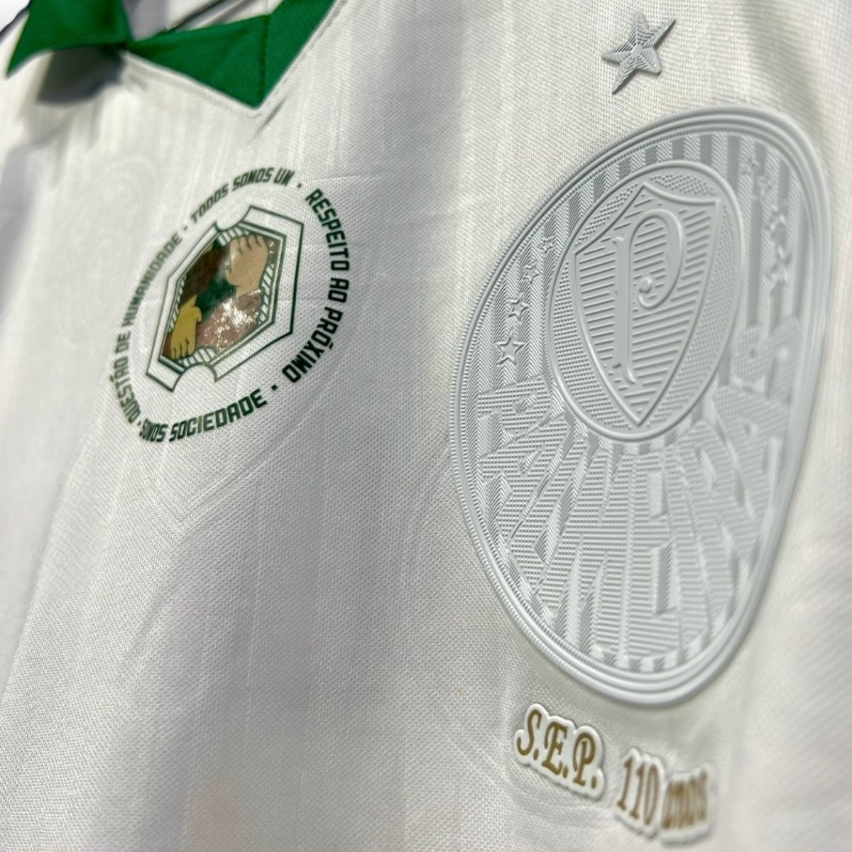 Camiseta Palmeiras 2023-2024 Especial