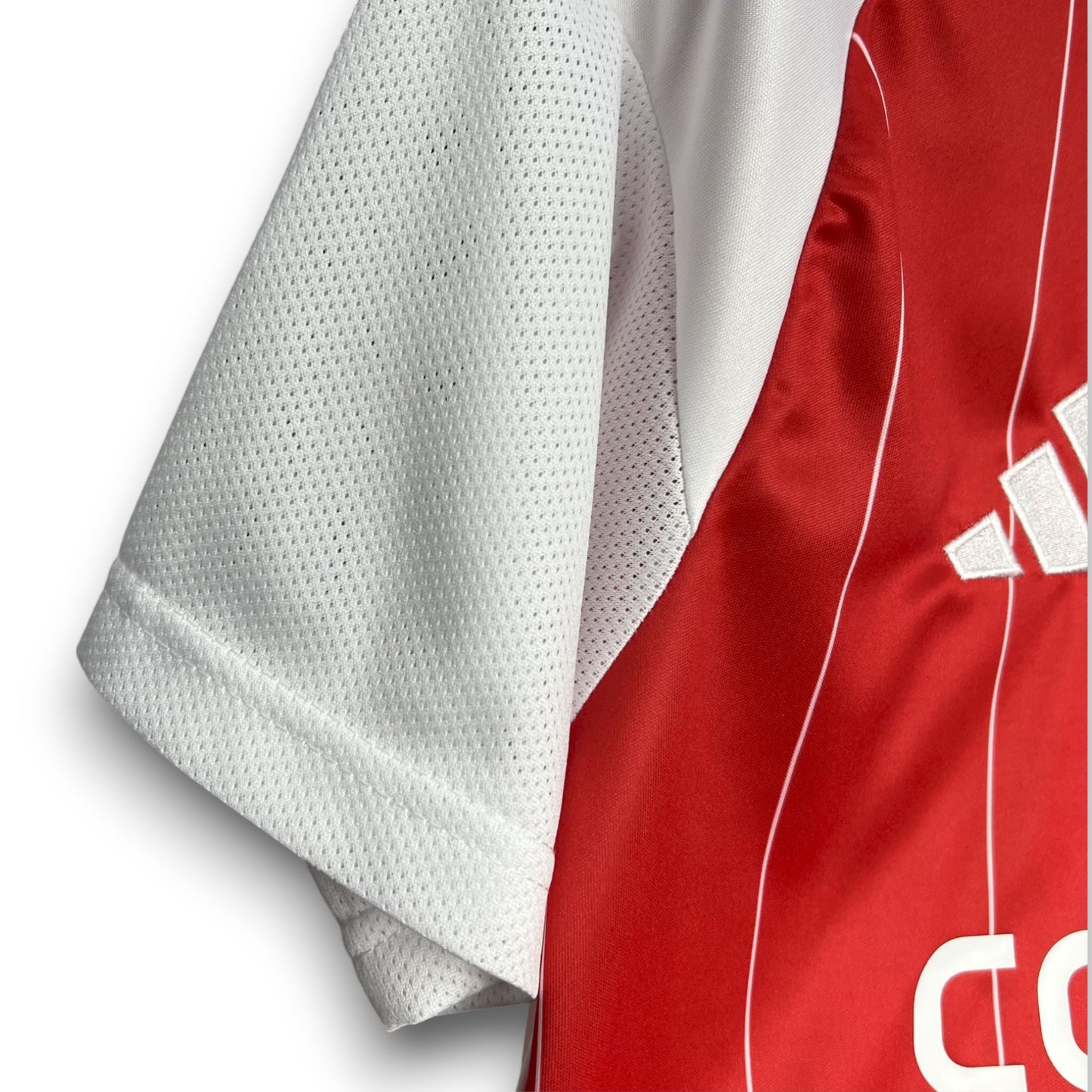 Camiseta Colo Colo 2024-2025 Alternativa - Primera División de Chile