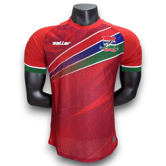 Camiseta Gambia 2025-2026 Local - Version Pro Player