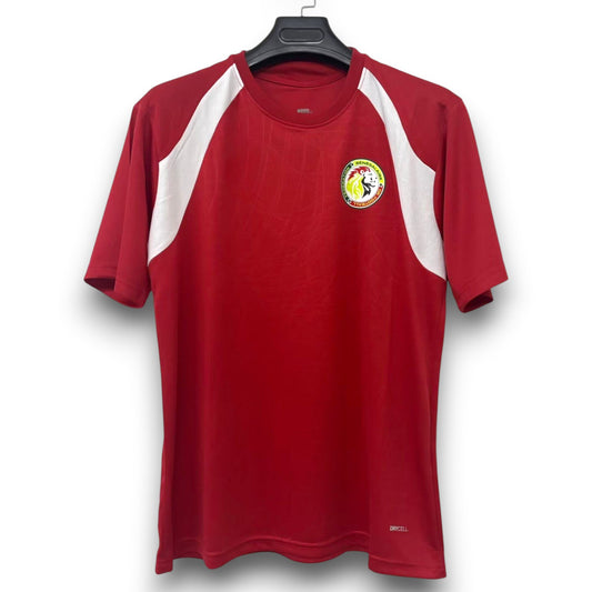Camiseta Senegal 2026-2027 Entrenamiento