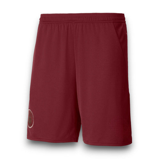 Pantalón corto Manchester City 2024-2025 Alternativa