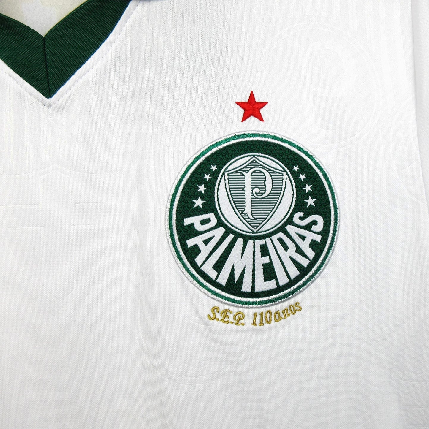 Camiseta Palmeiras 2024-2025 Visitante