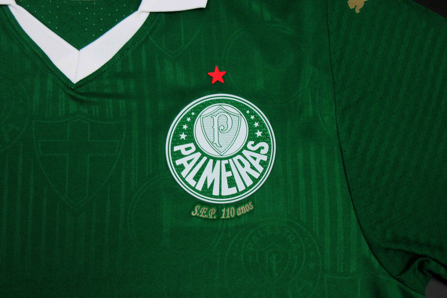 Camiseta Palmeiras 2024-2025 Local - Version Pro Player