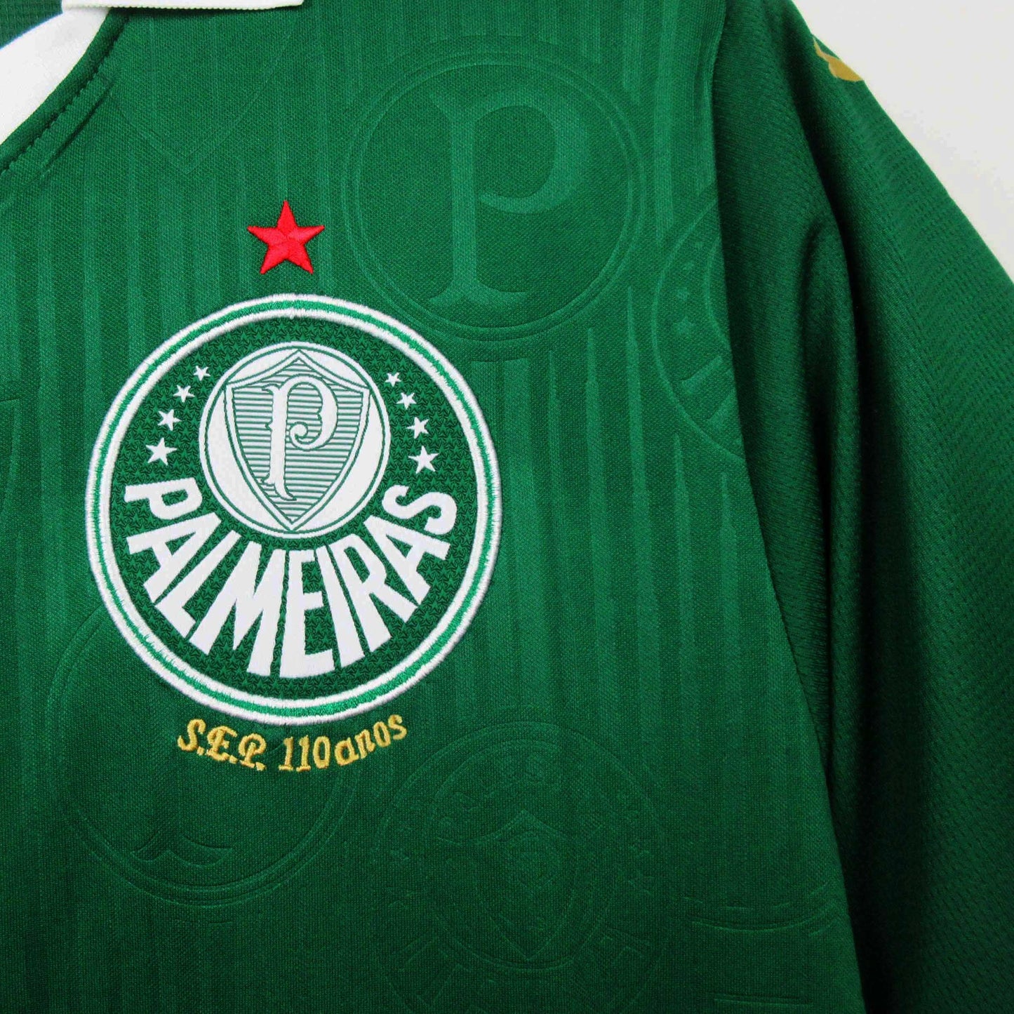 Camiseta Palmeiras 2024-2025 Local