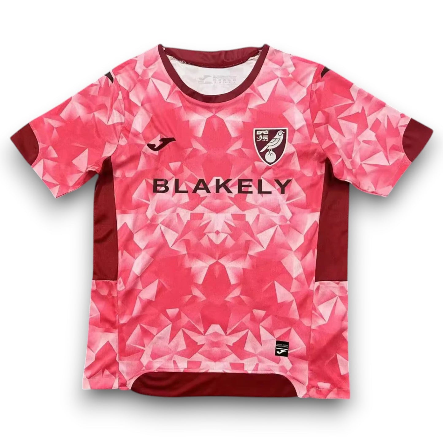 Camiseta Norwich City 2025-2026 Alternativa