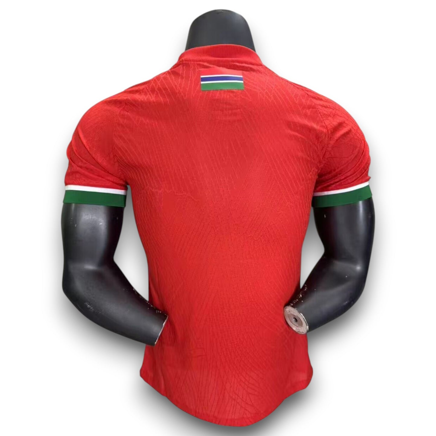 Camiseta Gambia 2025-2026 Local - Version Pro Player