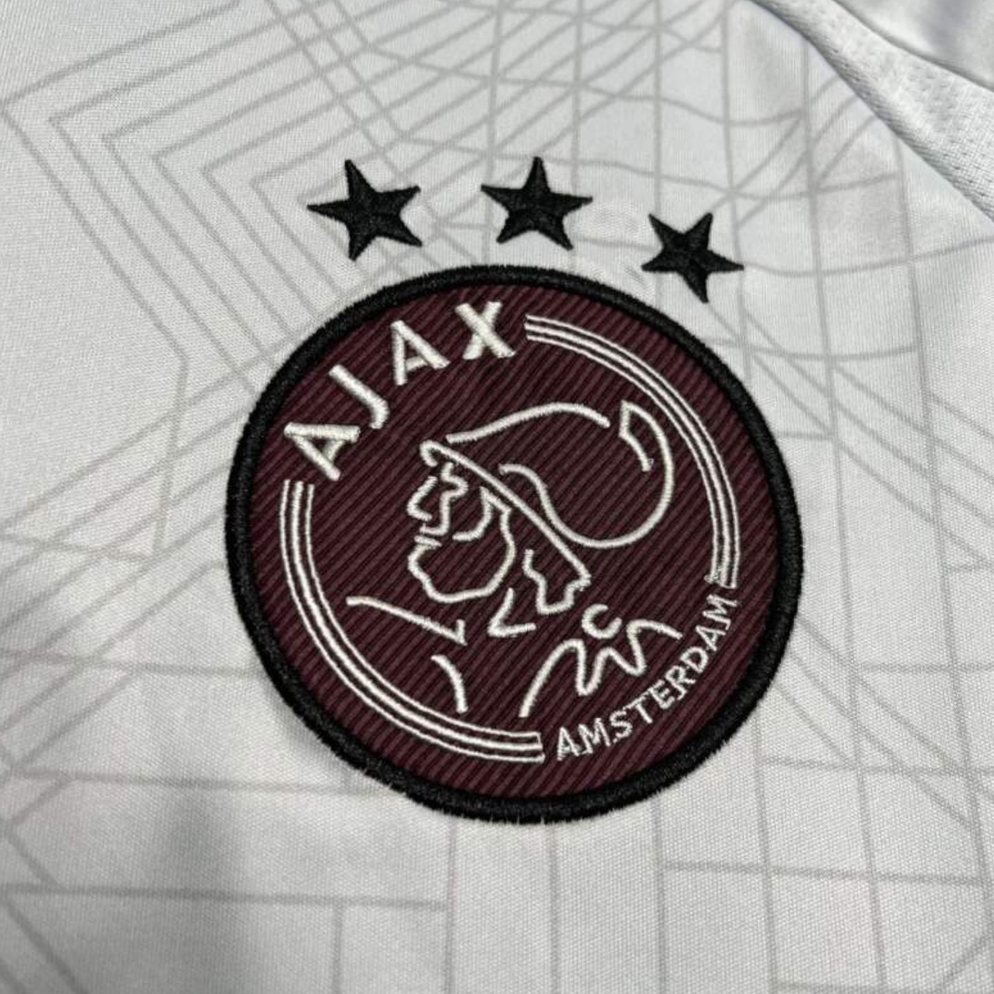 Camiseta Ajax 2024-2025 Alternativa