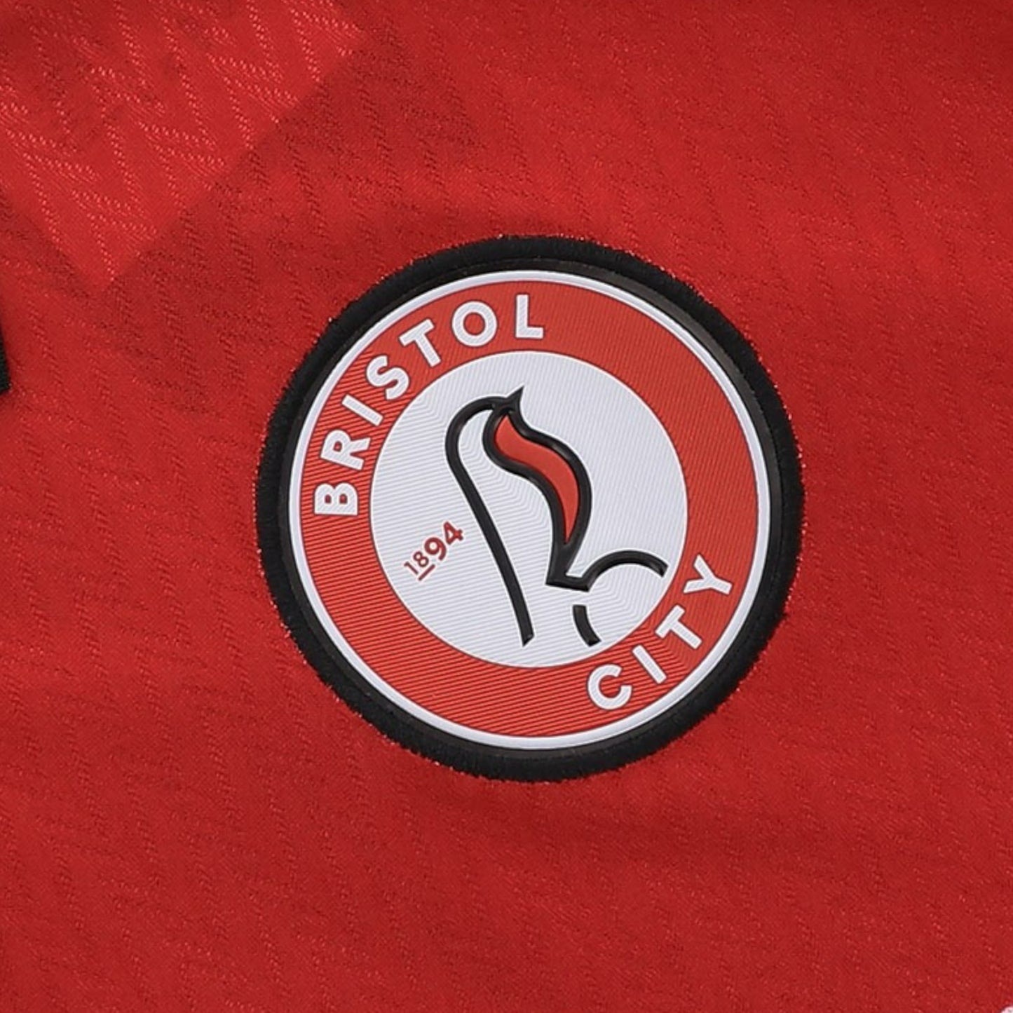 Camiseta Bristol City 2025-2026 Local