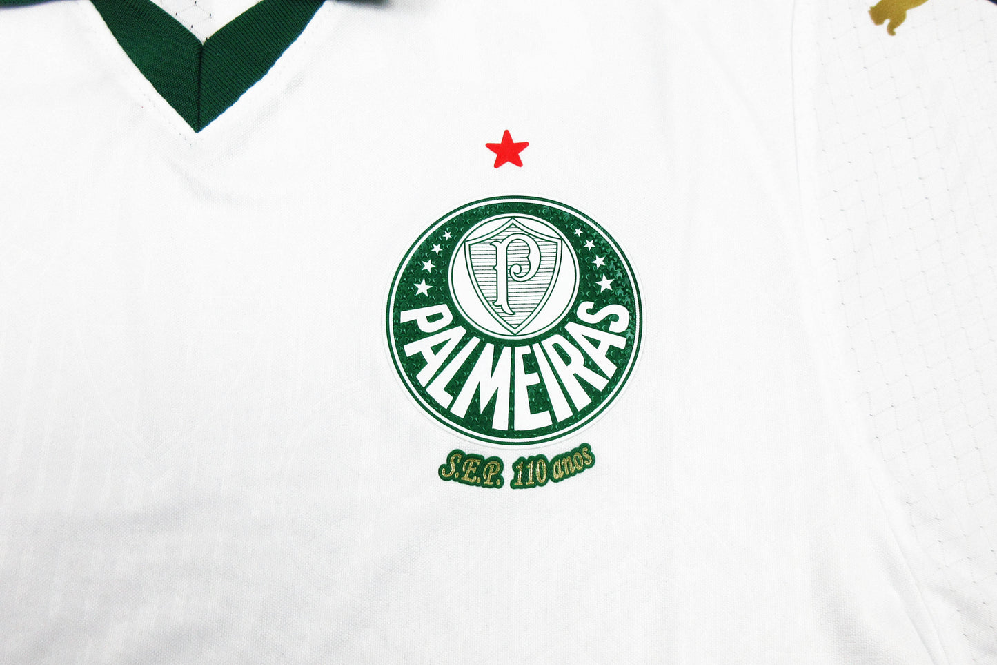 Camiseta Palmeiras 2024-2025 Visitante - Version Pro Player