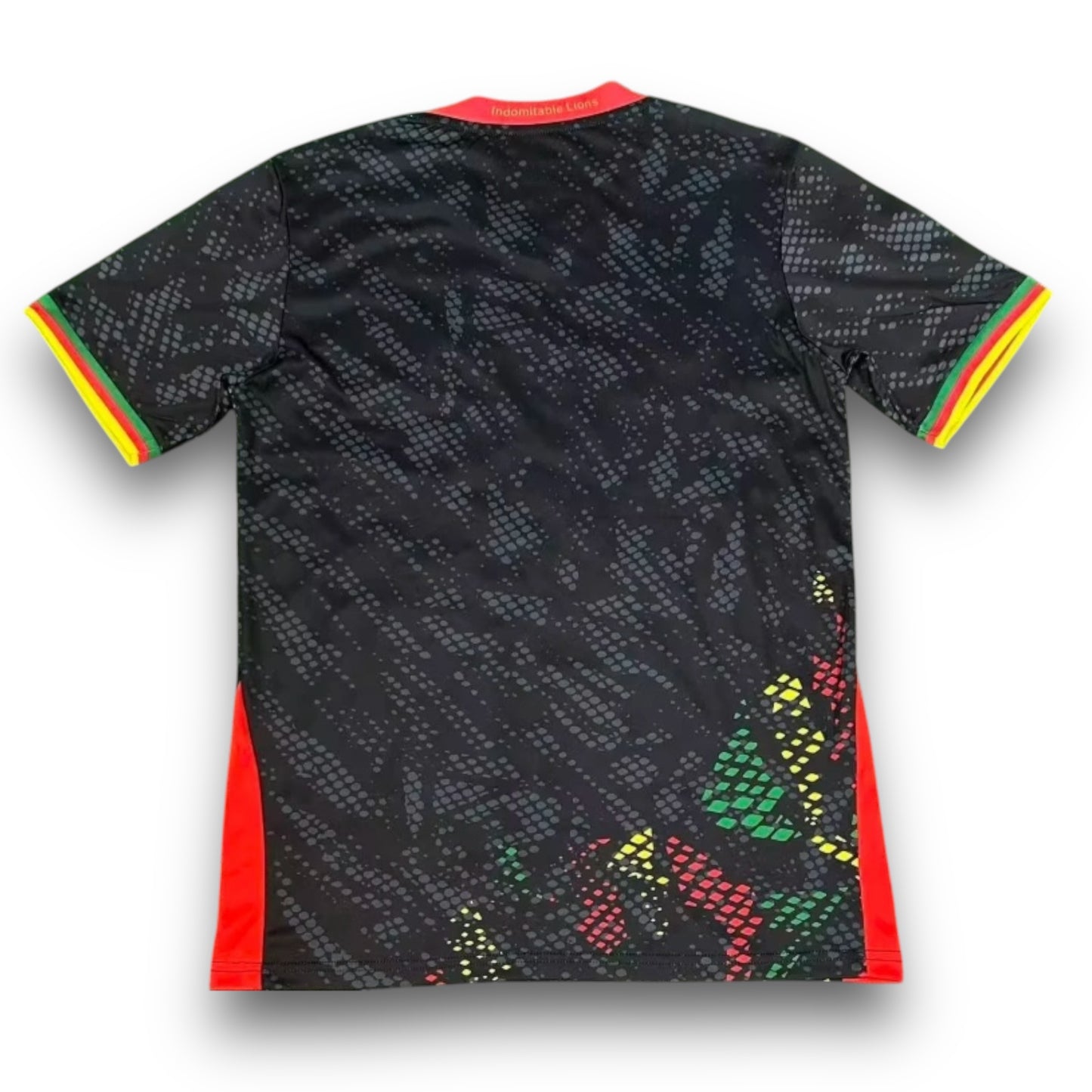 Camiseta Camerún 2025-2026 Especial