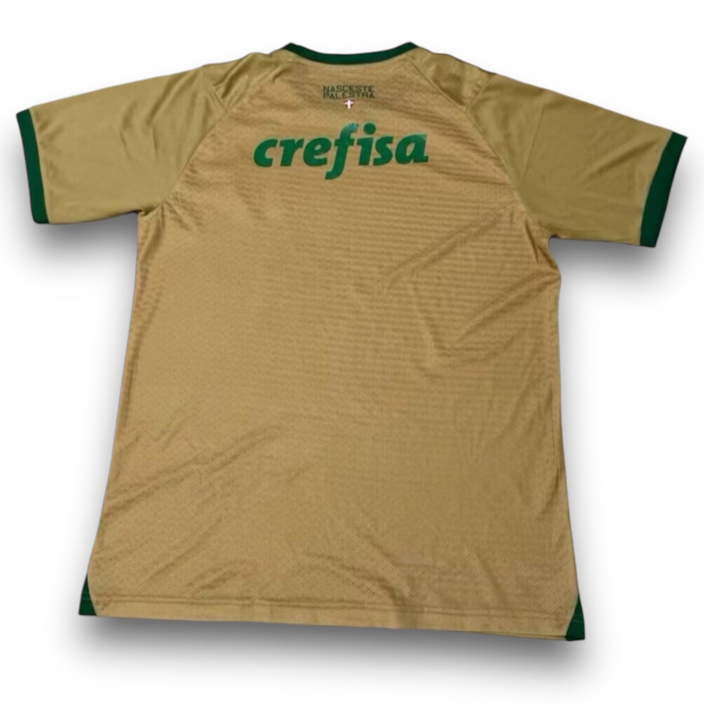 Camiseta Palmeiras 2024-2025 Alternativa