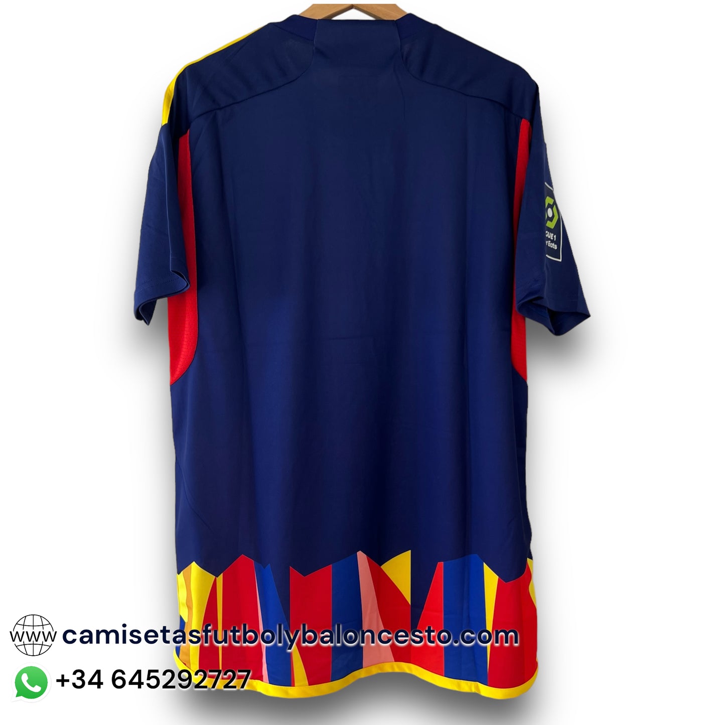 Camiseta Lyon 2023-2024 Alternativa