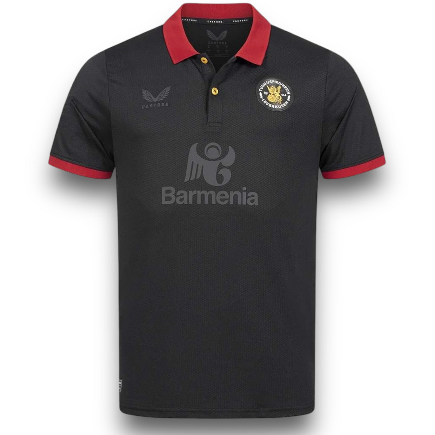 Camiseta Bayern Leverkusen 2024-2025 Aniversario