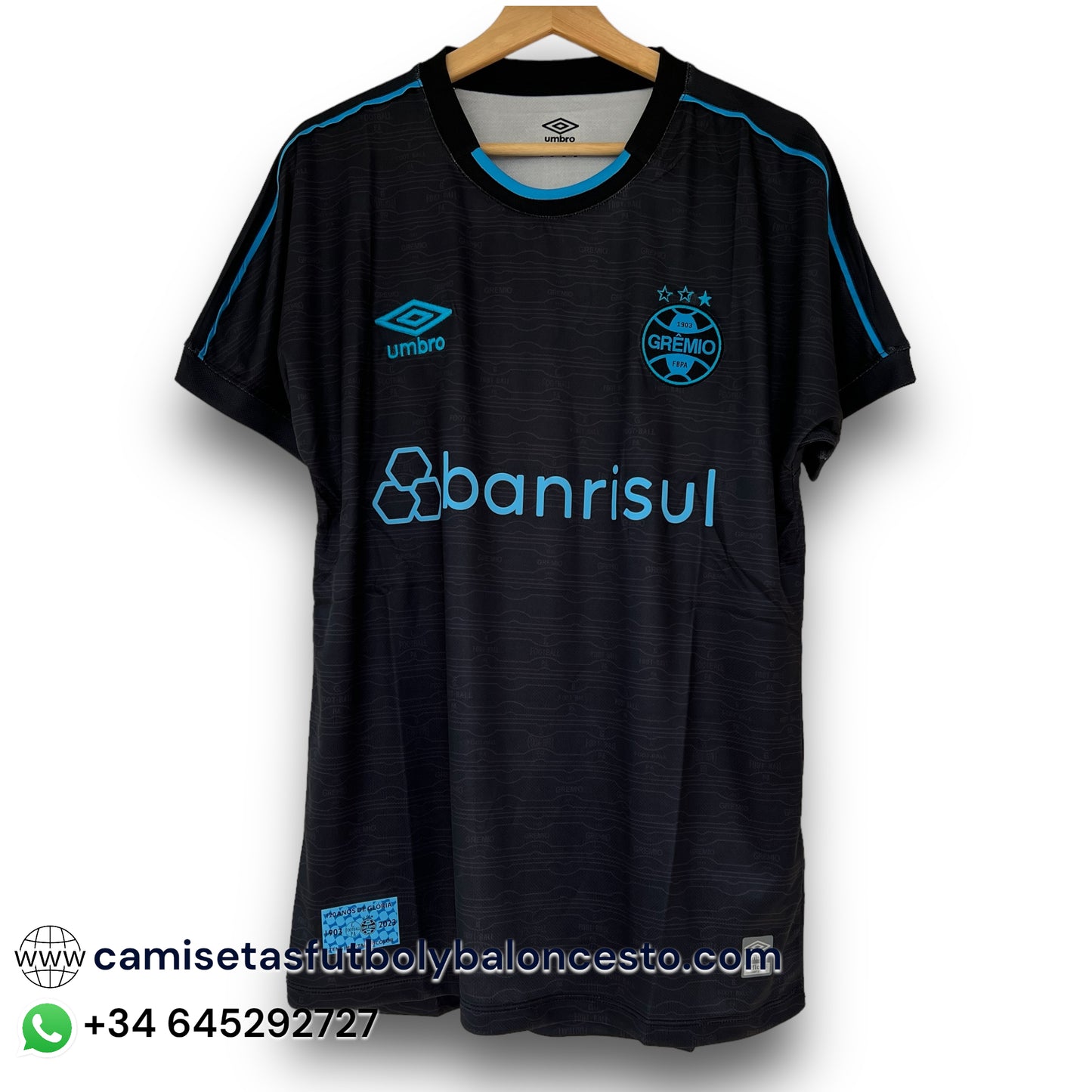 Camiseta Gremio 2023-2024 Alternativa