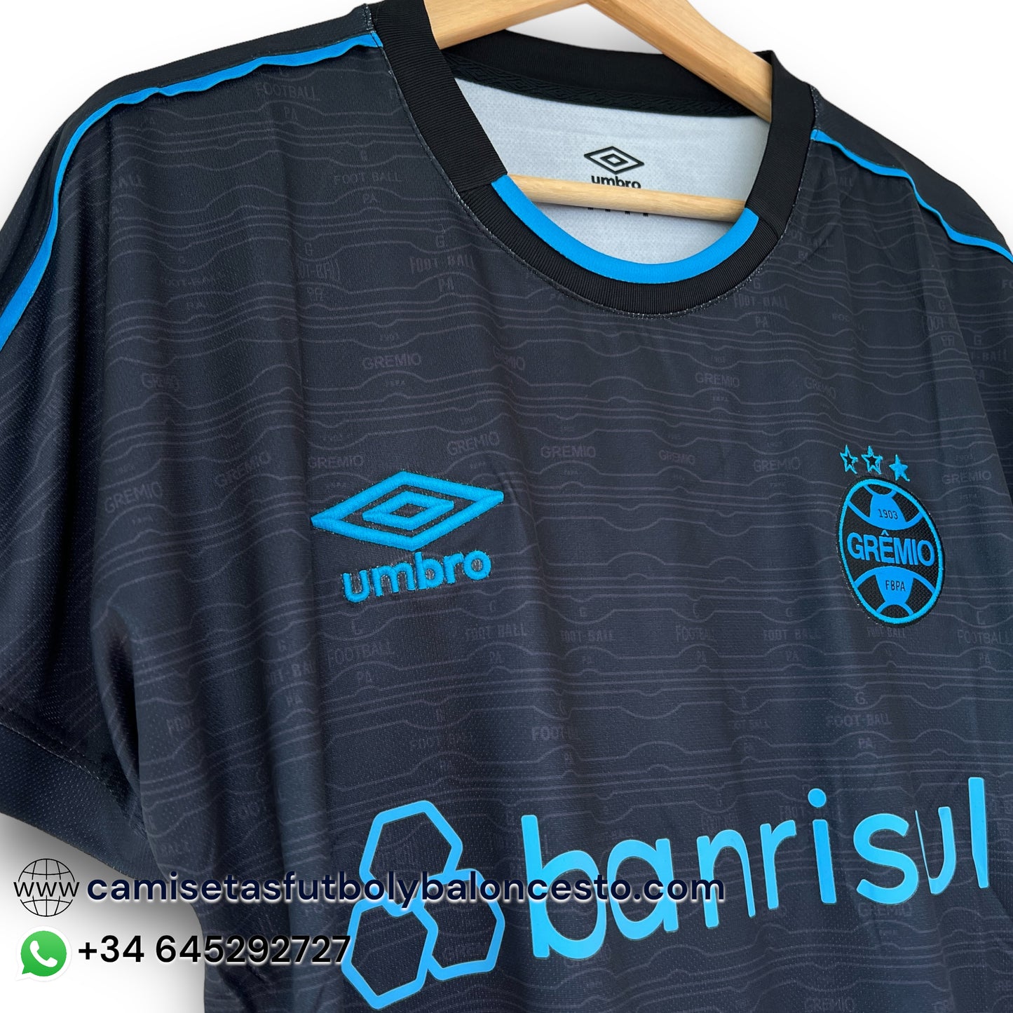 Camiseta Gremio 2023-2024 Alternativa