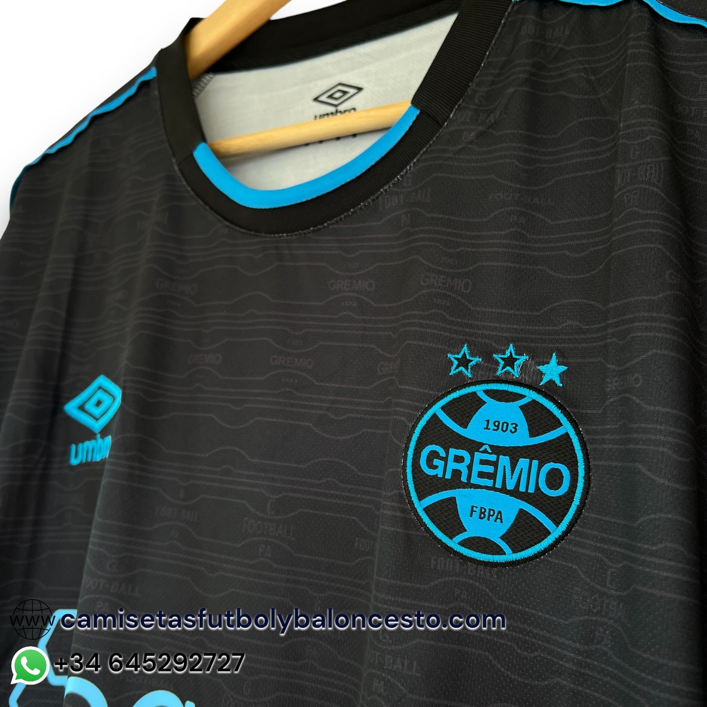 Camiseta Gremio 2023-2024 Alternativa