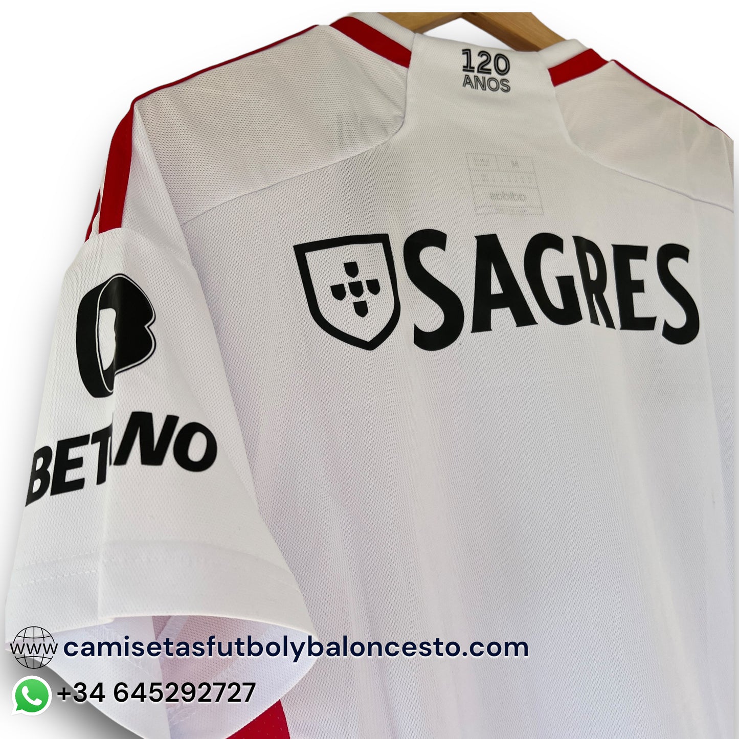 Camiseta Benfica 2023-2024 Alternativa