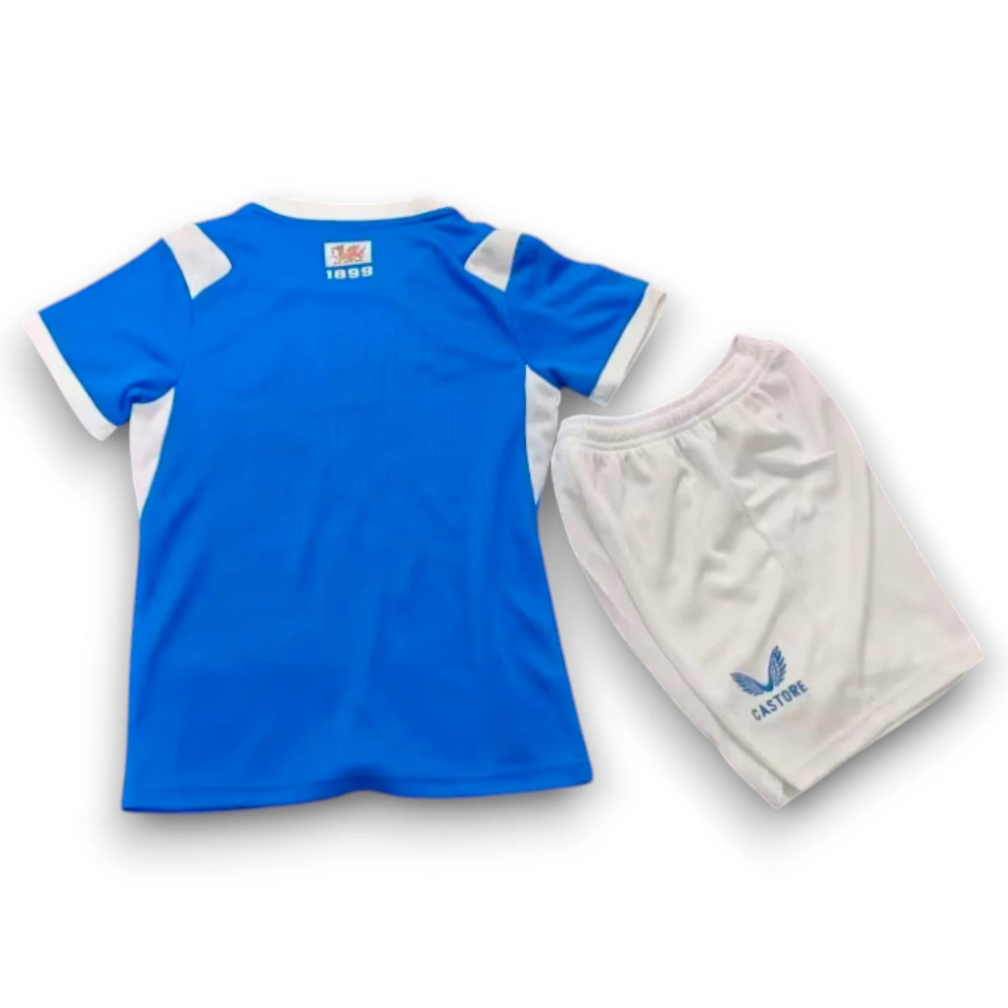 Camiseta Cardiff City 2026-2027 Local