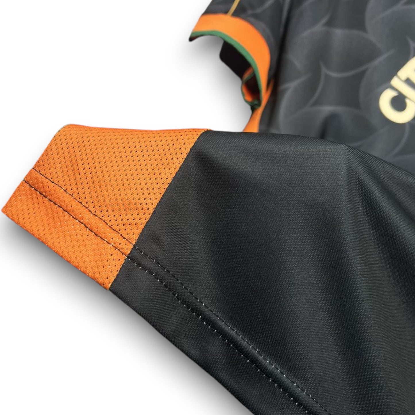 Camiseta Venezia 2024-2025 Edición Especial