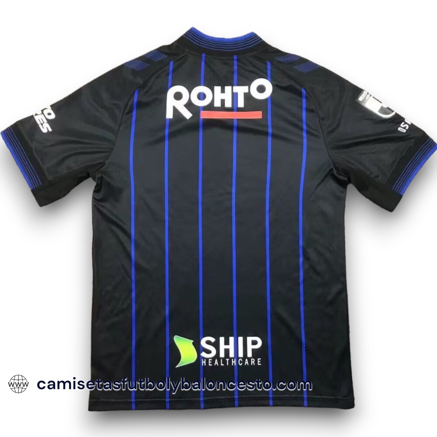 Camiseta Gamba Osaka 2024-2025 Local